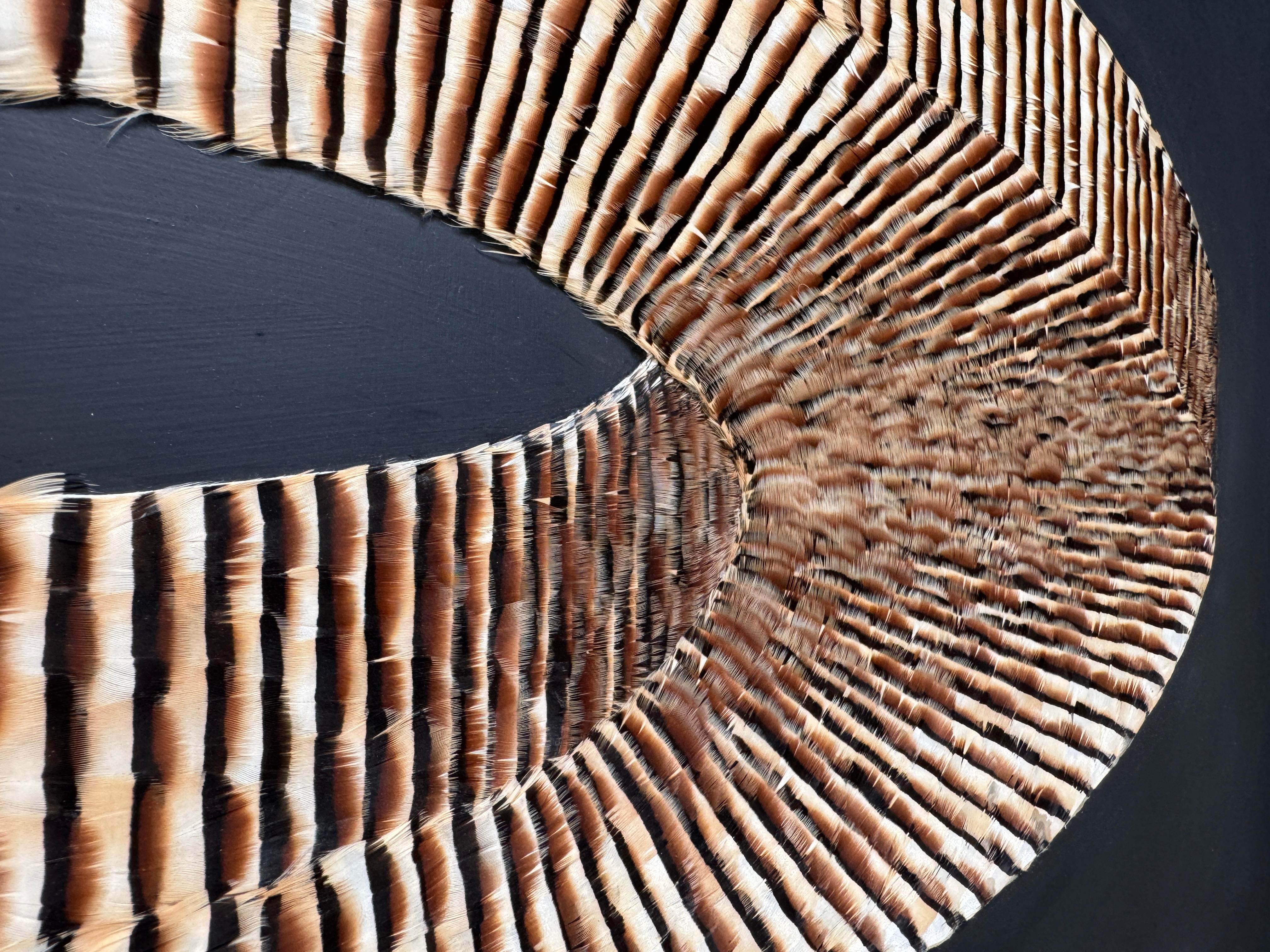Feather Artwork, Abstract Earth Tones Mobius Strip, Optical Illusion, 2019 For Sale 8