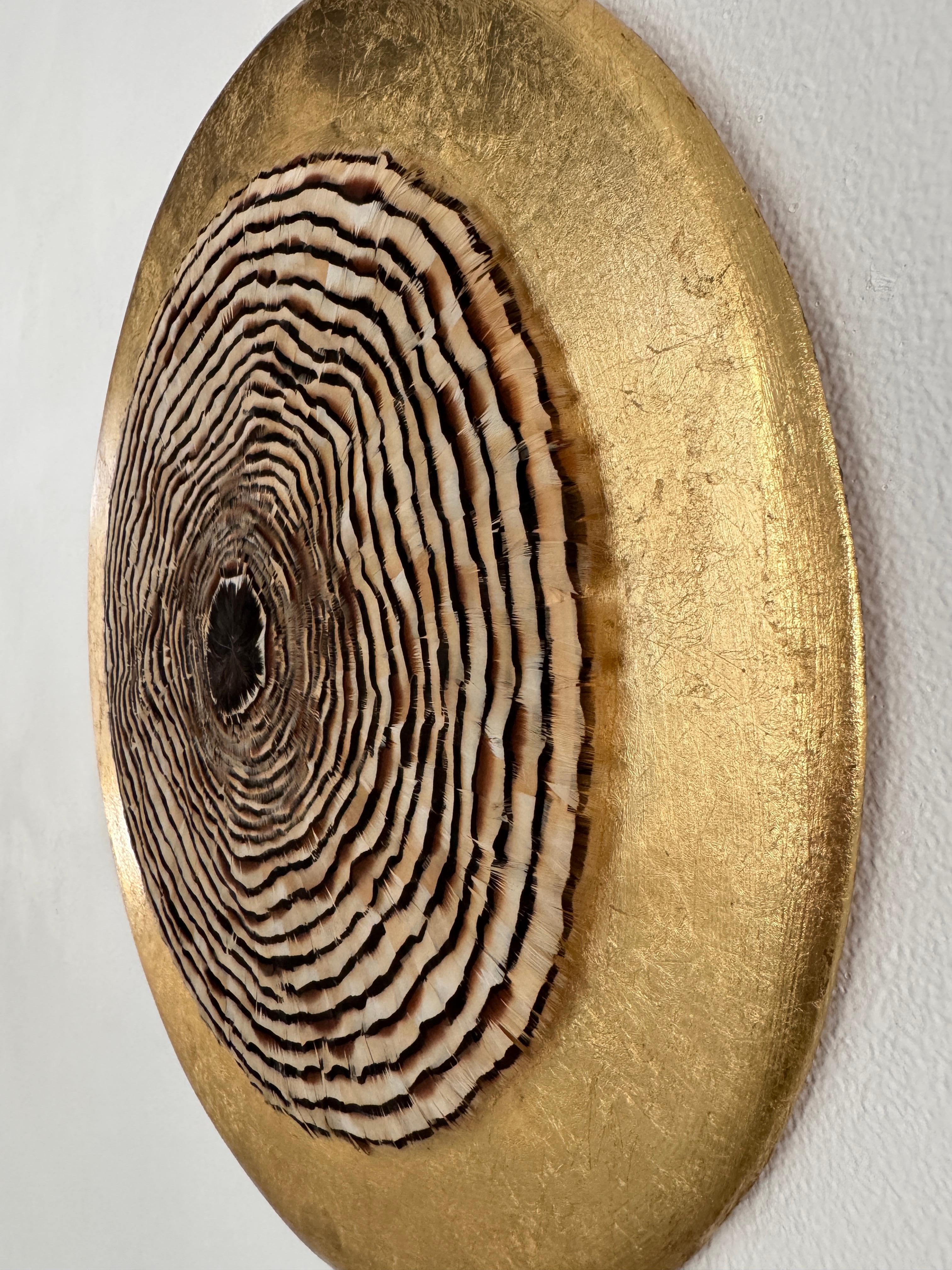 Arte de pared de plumas circulares, anillos de árboles inspirados en la naturaleza, tonos tierra, 2019 en venta 6