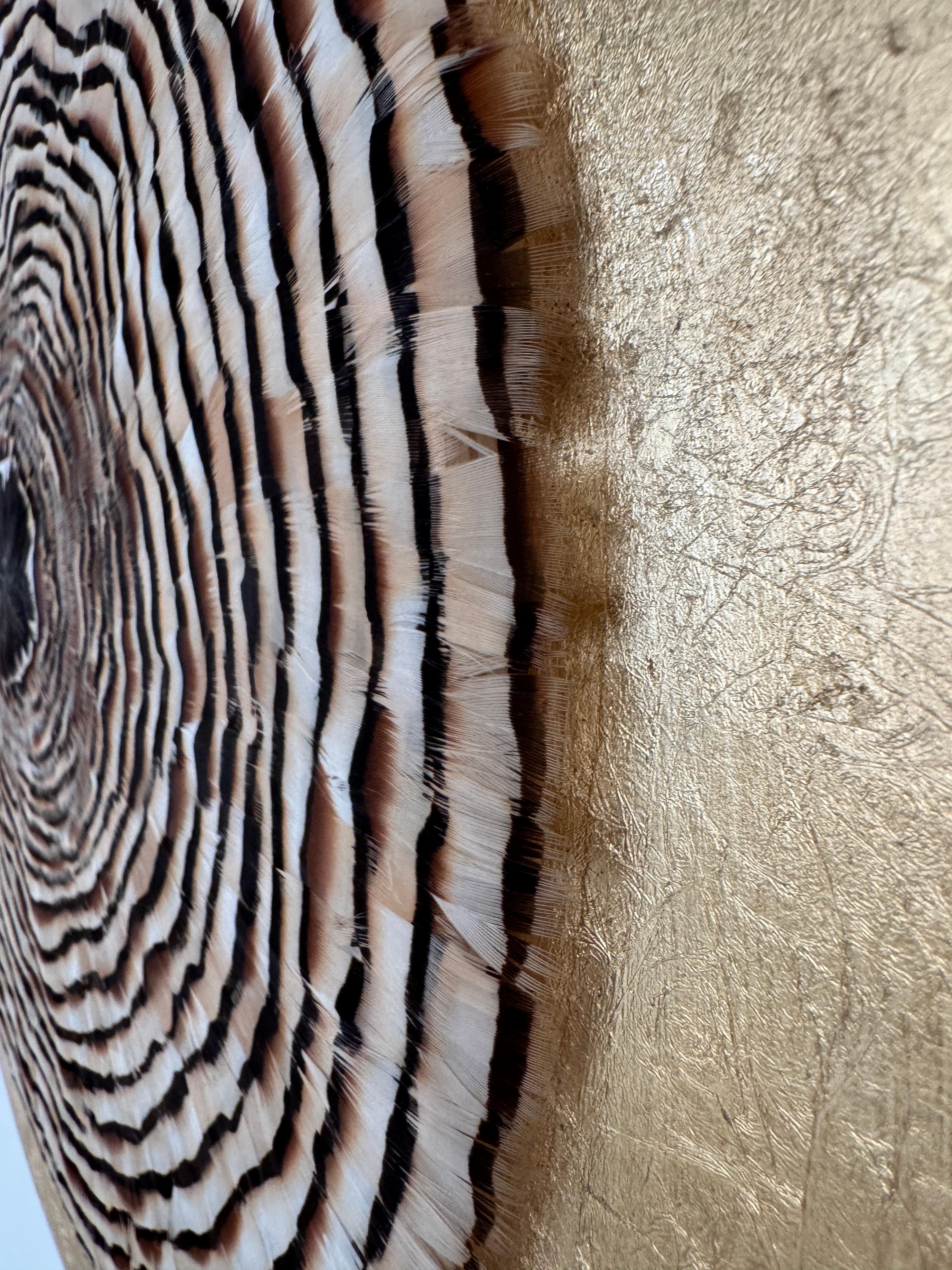 Arte de pared de plumas circulares, anillos de árboles inspirados en la naturaleza, tonos tierra, 2019 en venta 8