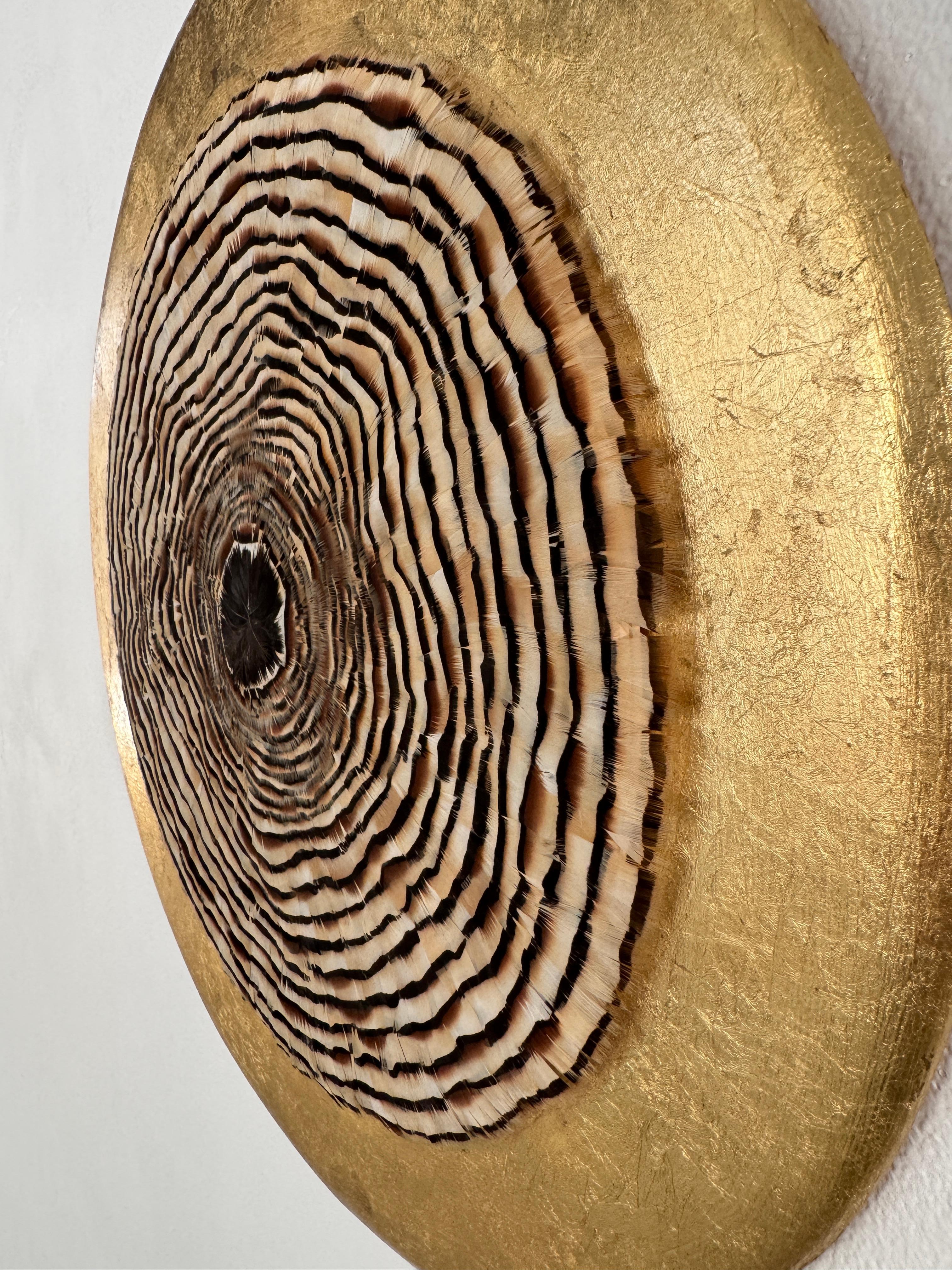 Arte de pared de plumas circulares, anillos de árboles inspirados en la naturaleza, tonos tierra, 2019 en venta 9