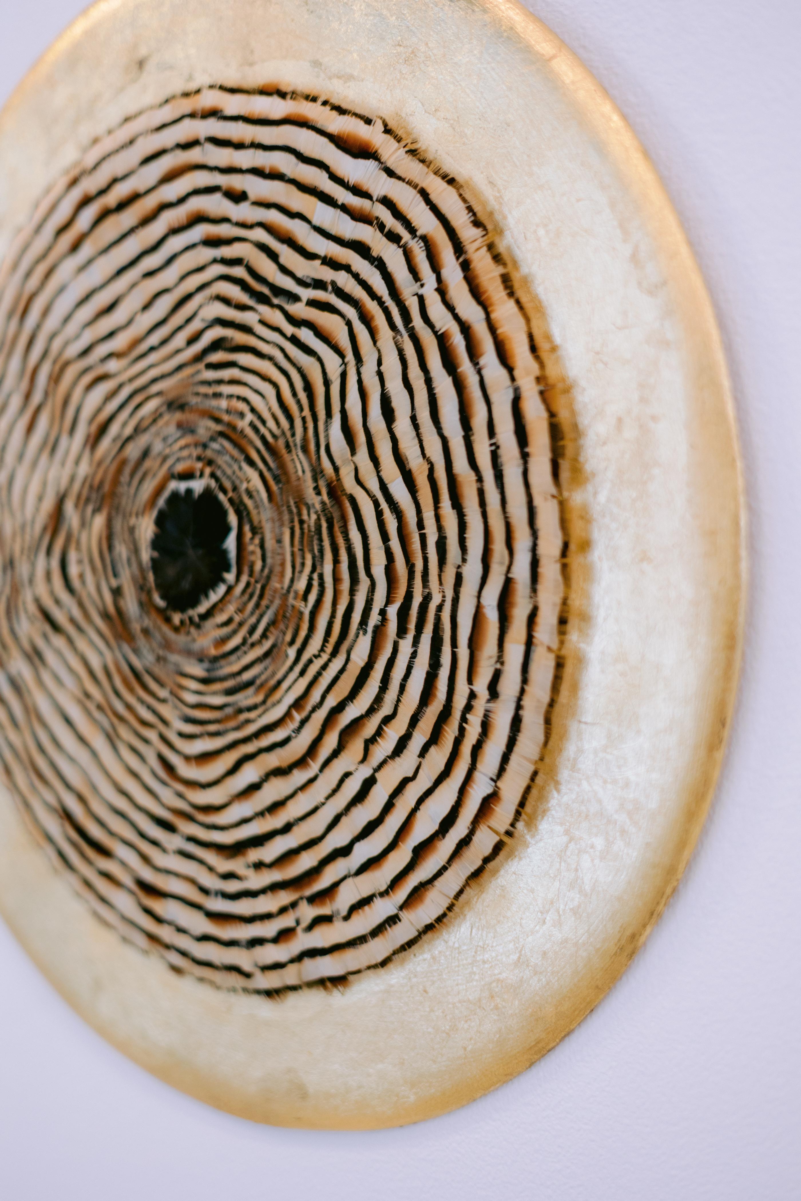 Arte de pared de plumas circulares, anillos de árboles inspirados en la naturaleza, tonos tierra, 2019 en venta 1