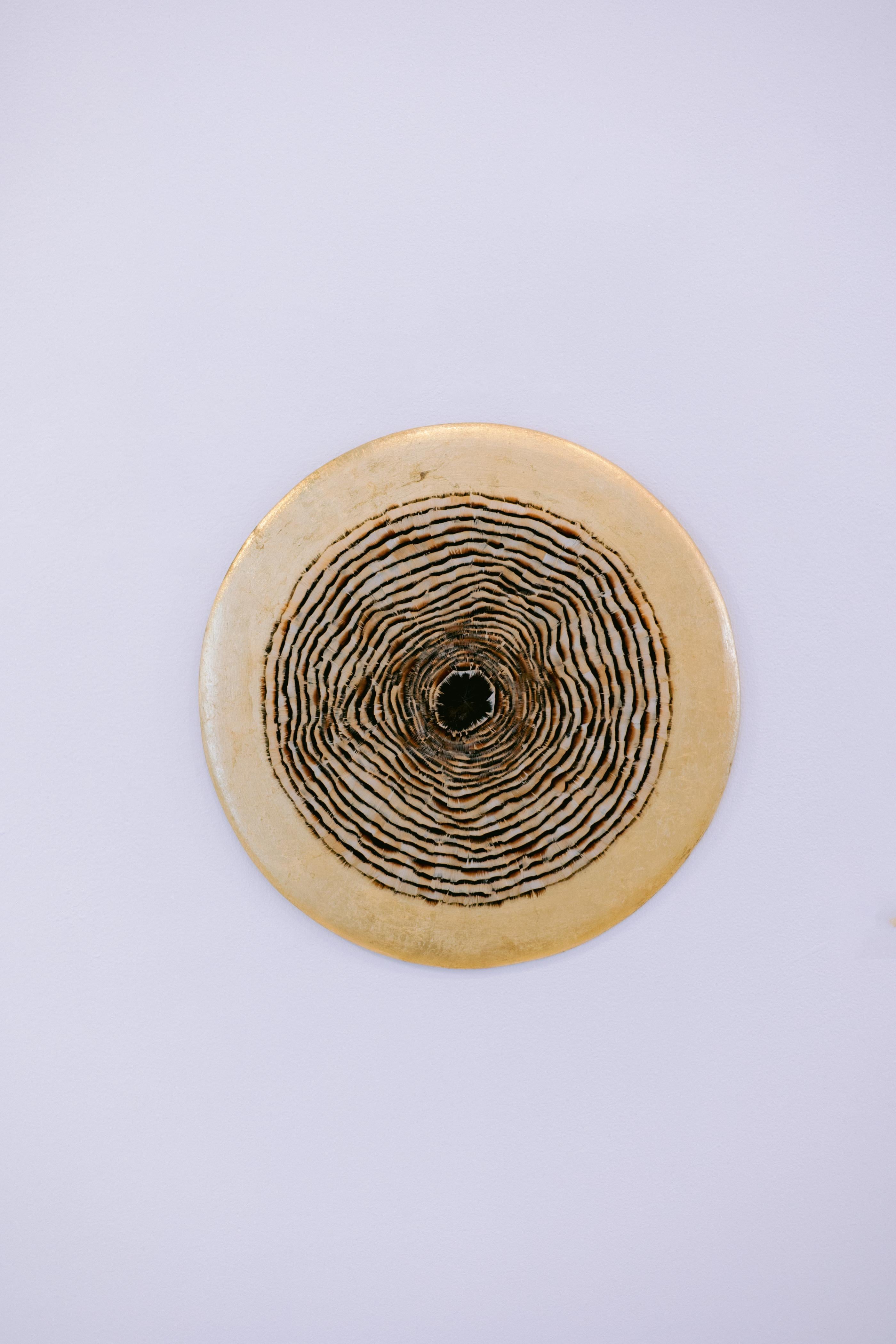 Arte de pared de plumas circulares, anillos de árboles inspirados en la naturaleza, tonos tierra, 2019 en venta 2