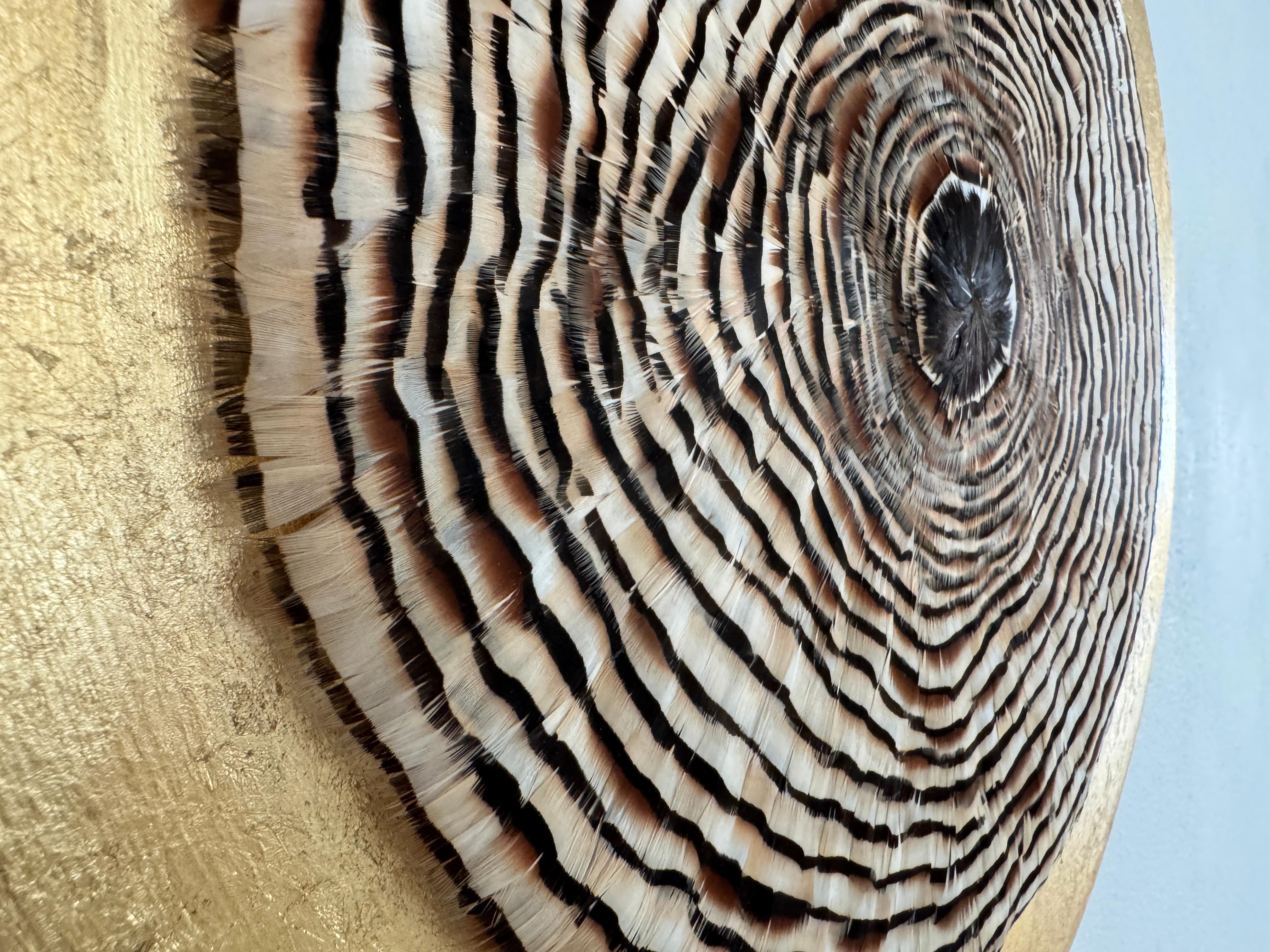 Arte de pared de plumas circulares, anillos de árboles inspirados en la naturaleza, tonos tierra, 2019 en venta 10