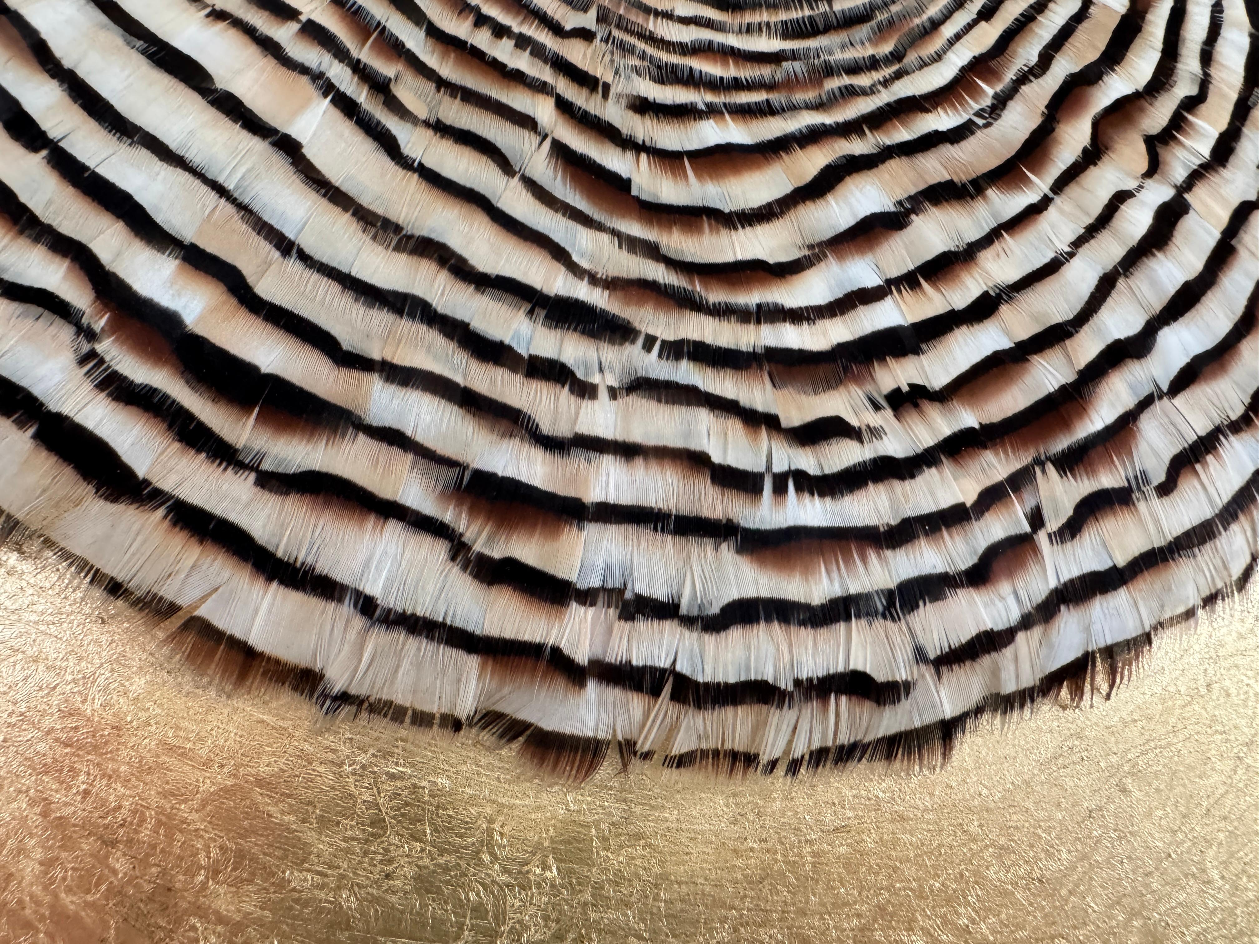 Arte de pared de plumas circulares, anillos de árboles inspirados en la naturaleza, tonos tierra, 2019 en venta 7