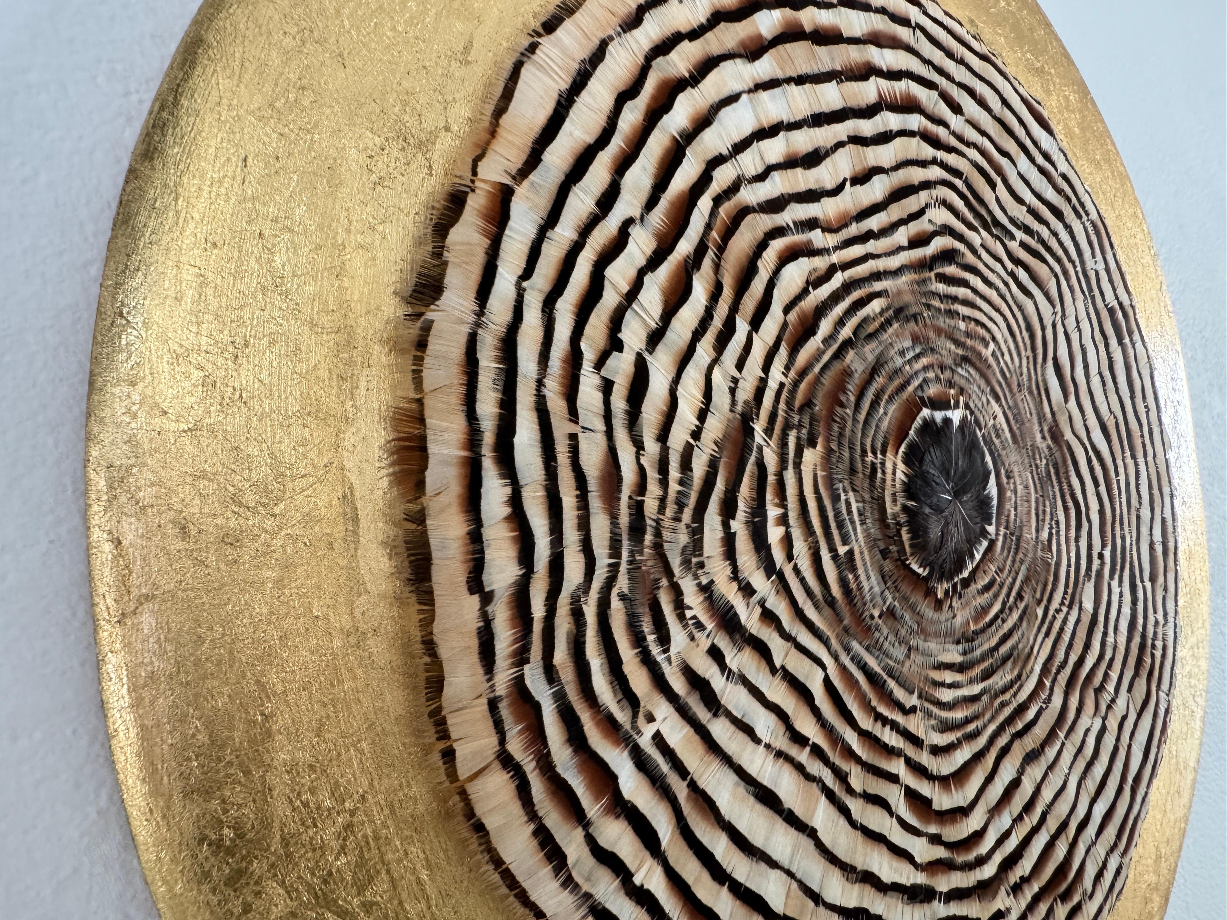 Arte de pared de plumas circulares, anillos de árboles inspirados en la naturaleza, tonos tierra, 2019 en venta 5