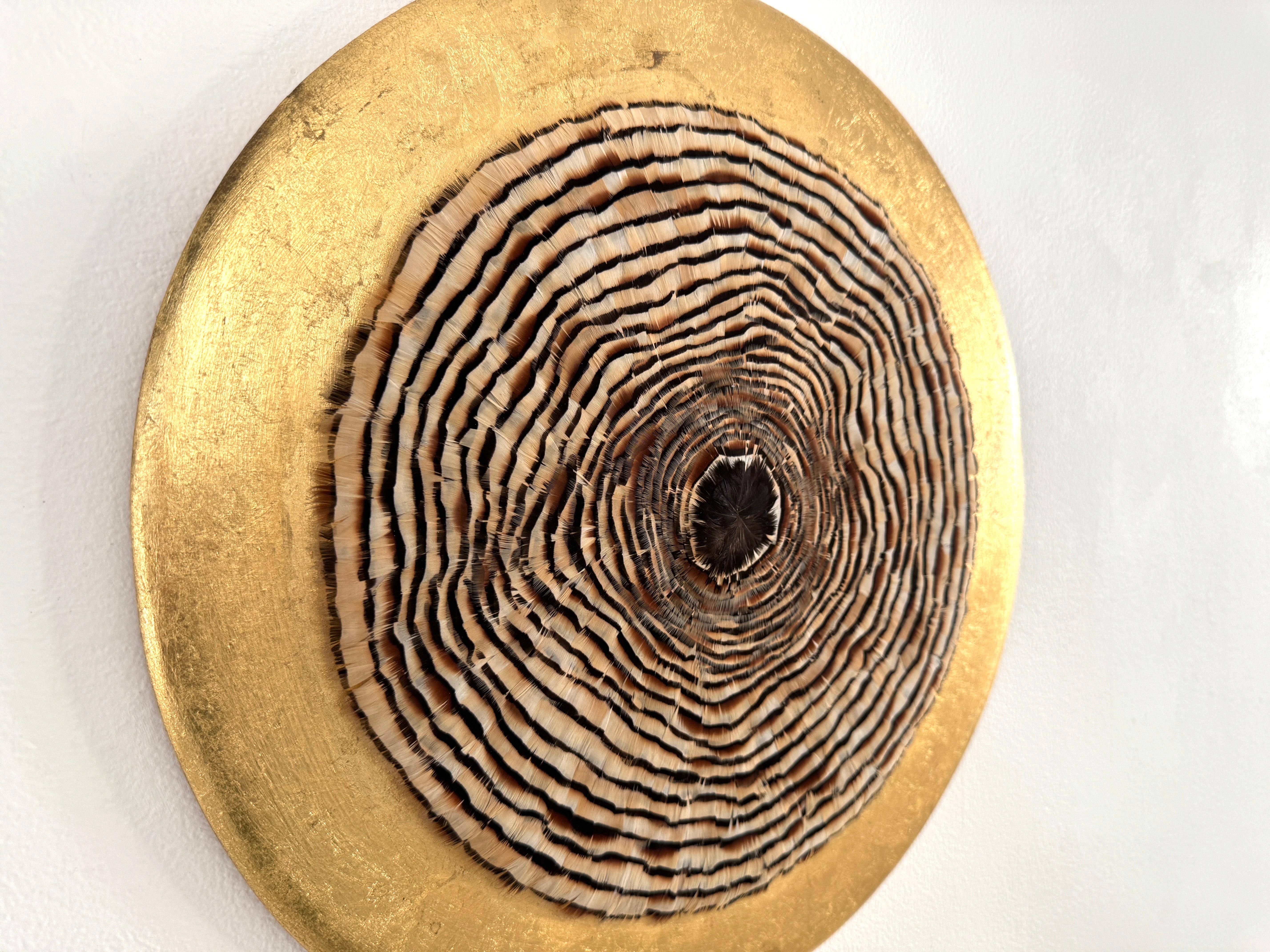 Arte de pared de plumas circulares, anillos de árboles inspirados en la naturaleza, tonos tierra, 2019 en venta 11