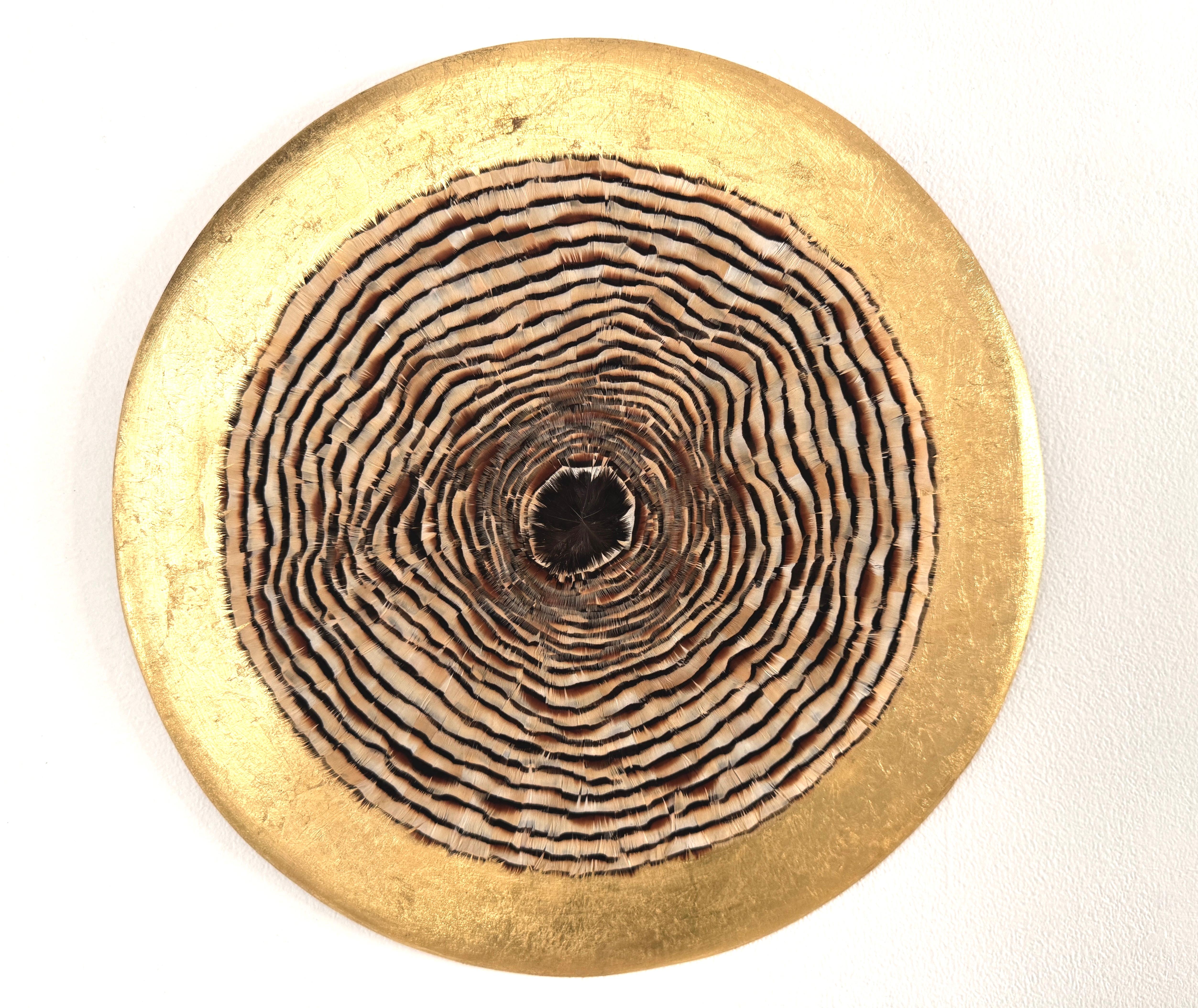 "Anillos de crecimiento II", de la artista española Henar Iglesias, es una obra abstracta única en su género, de forma circular, realizada con plumas de perdiz y urraca y pan de oro. La singularidad de los Anillos de Crecimiento reside en la