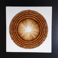 Œuvre d'art en plumes, Little Sun, 2023