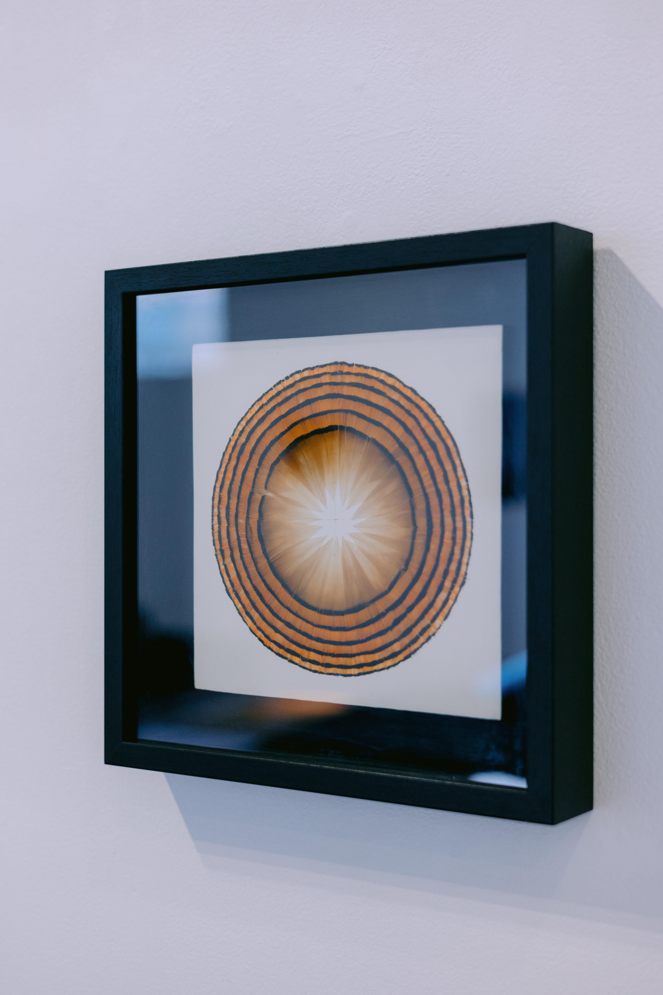 Opera d'arte in piume, Little Sun, 2023 - Art Astratto di Henar Iglesias
