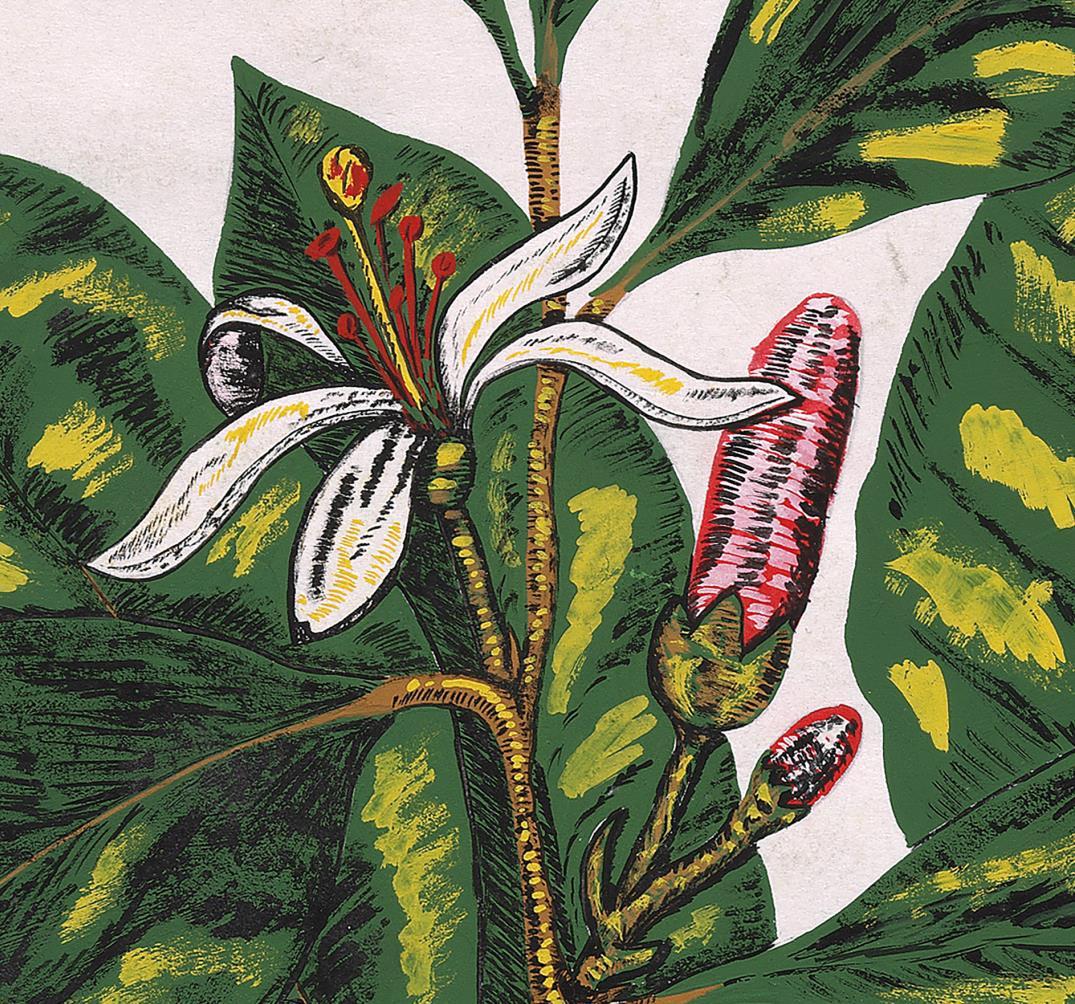Original handbemaltes Textildesign in Gouache im botanischen Stil auf weißem Papier, 70er Jahre im Angebot 1