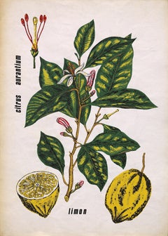 Vintage Original 70's Hand Painted Textile Design Gouache botanical style on White Paper