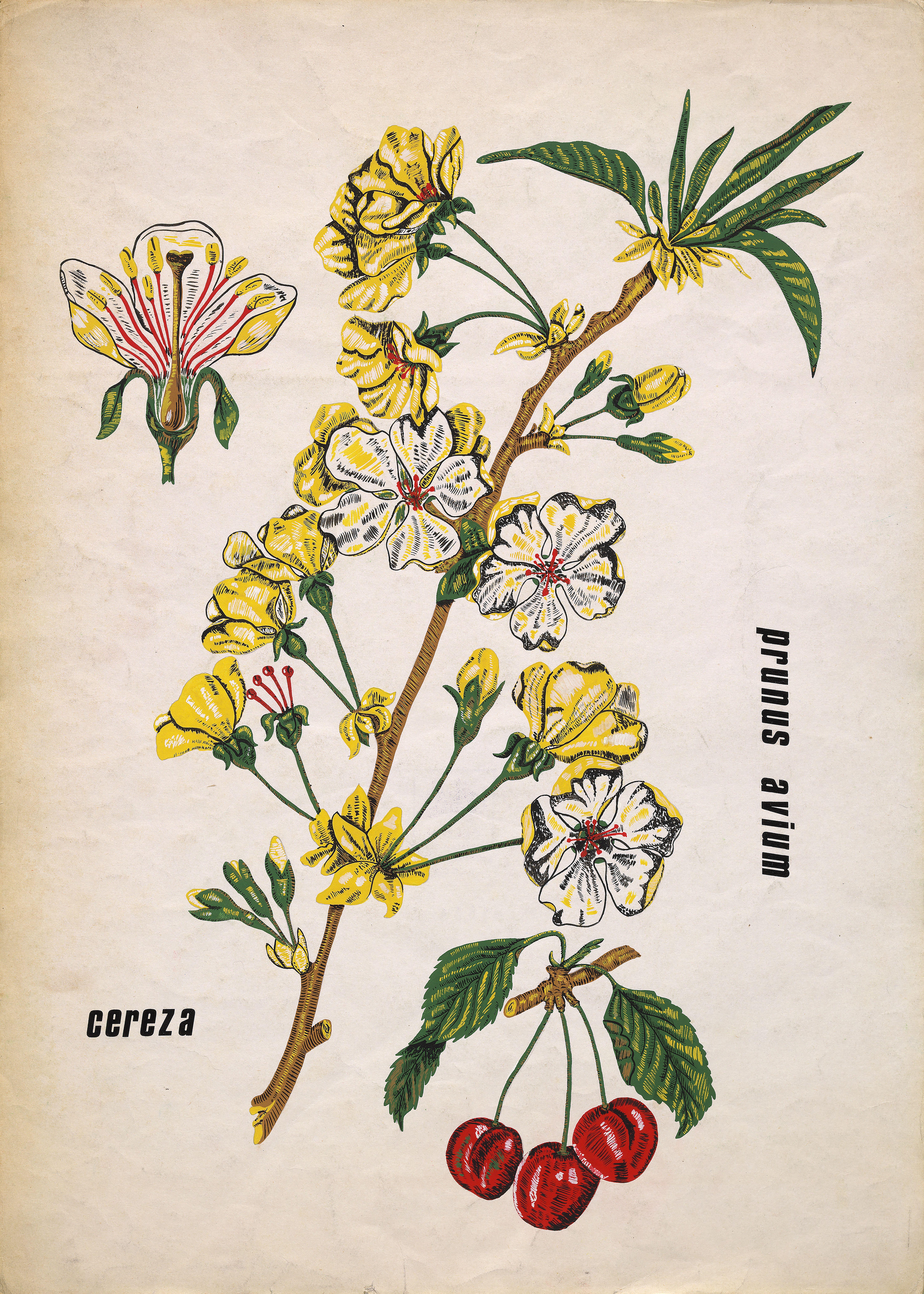 Original handbemaltes Textildesign in Gouache im botanischen Stil aus den 70er Jahren