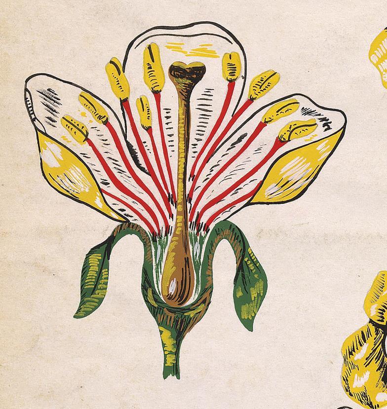Original handbemaltes Textildesign in Gouache im botanischen Stil aus den 70er Jahren (Weiß), Abstract Drawing, von Unknown