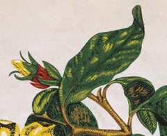 Original 70's Hand Painted Textile Design Gouache botanical Style on White Paper