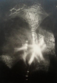 Abstracción de la Luz