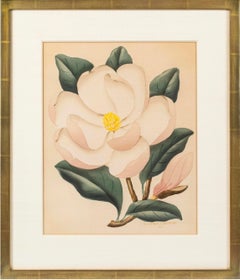Magnolia, acquerello floreale di Shirrell Graves (americano: 1884-1954)