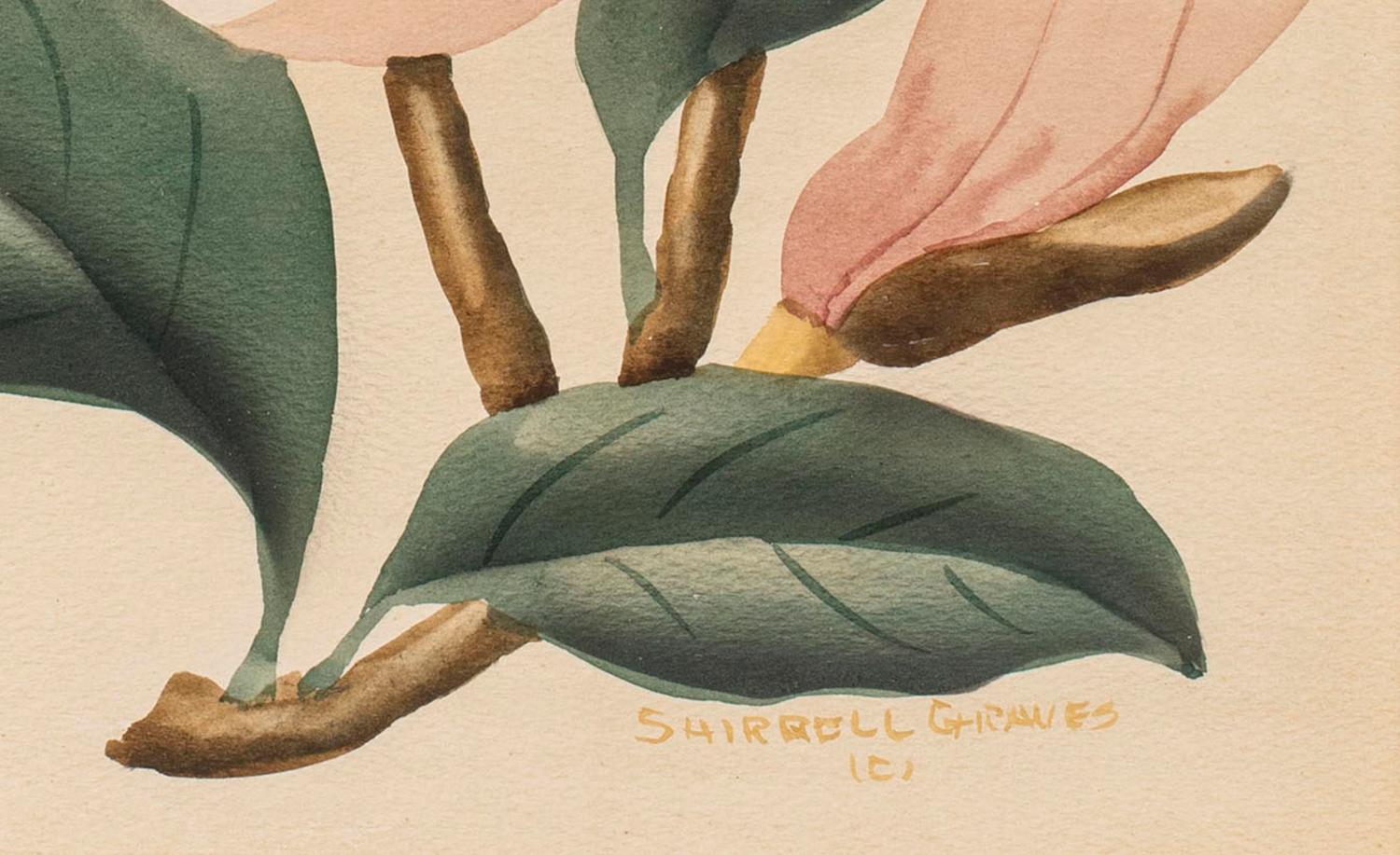Magnolien, geblümtes Aquarell von Shirrell Graves (Amerikanisch: 1884-1954) 2