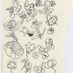 Family of Flowers