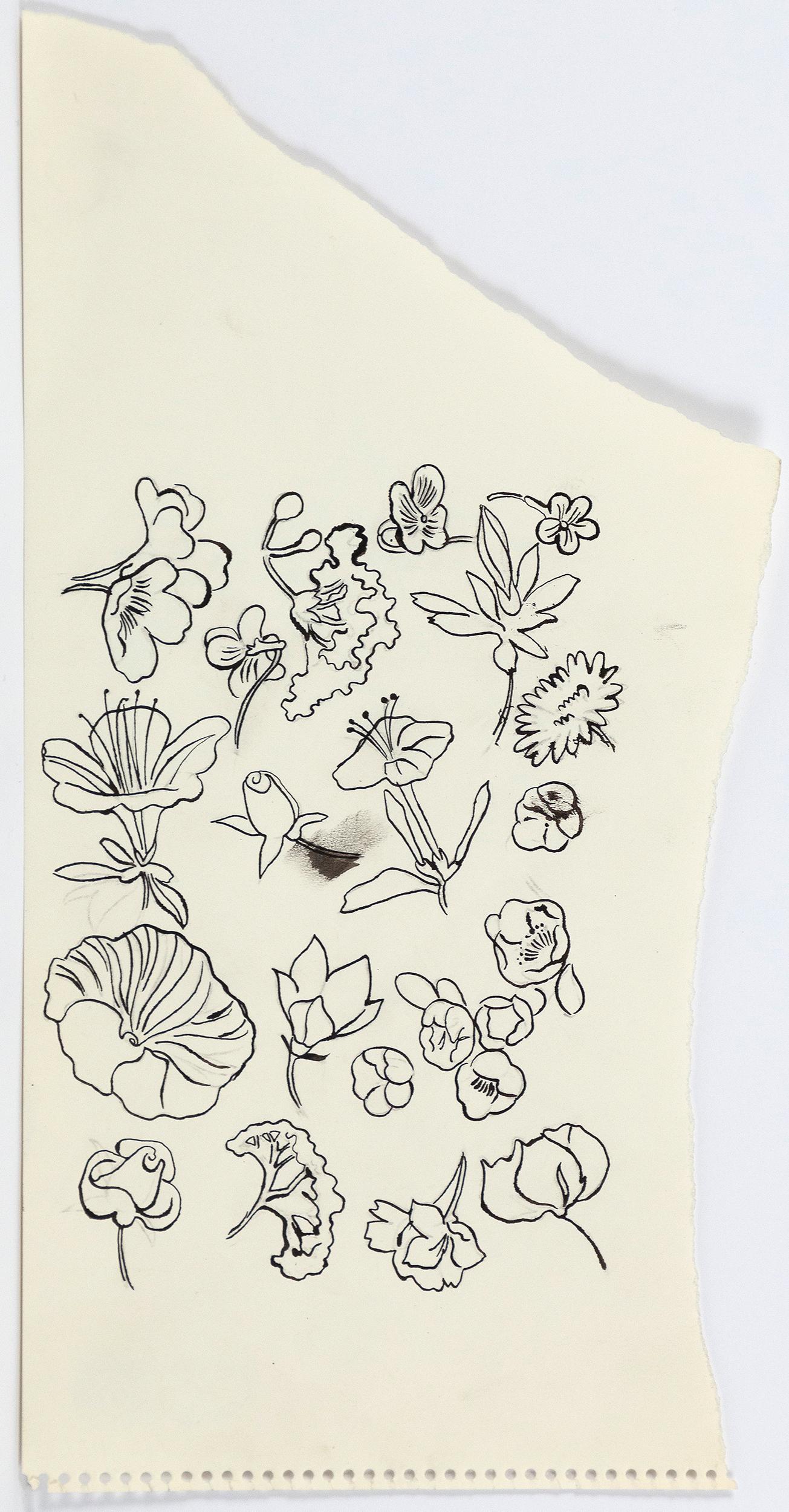 Famiglia di fiori 3