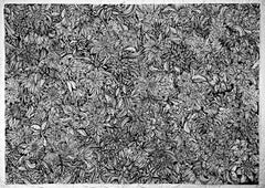 Pen on Paper Drawing by Sonja Shoemaker, Untitled, 2010