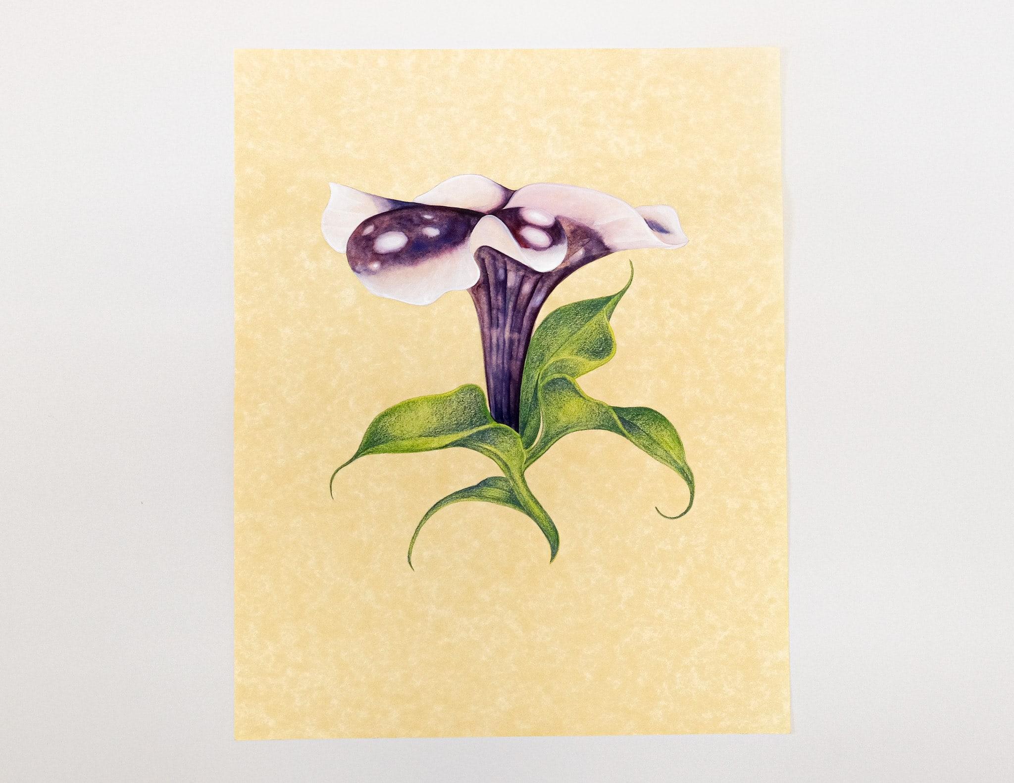 Set of 5 Watercolor on Paper Flowers - Art by Boy Kong