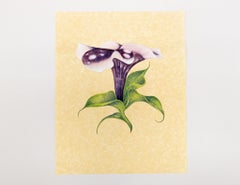 Set of 5 Watercolor on Paper Flowers