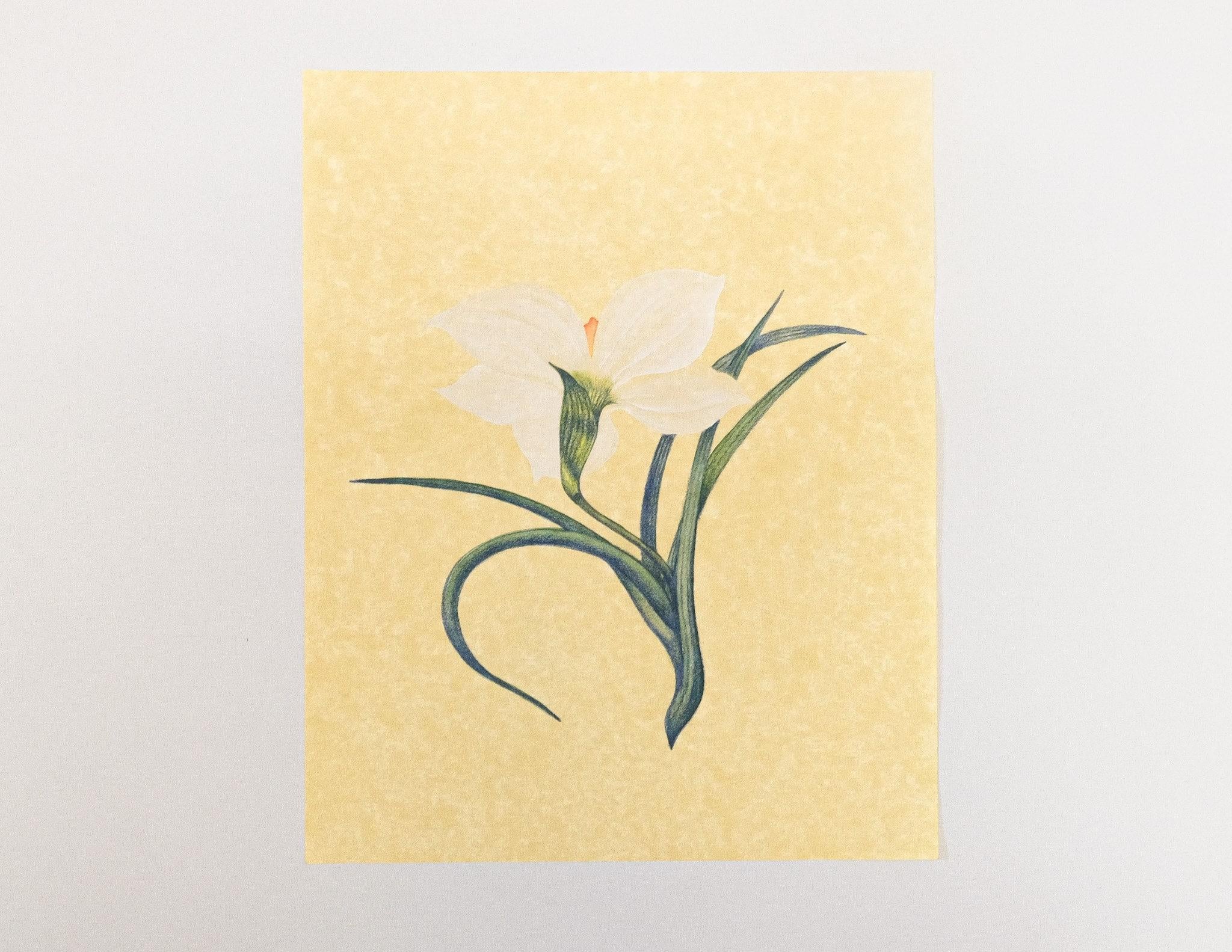 Set of 5 Watercolor on Paper Flowers For Sale 1