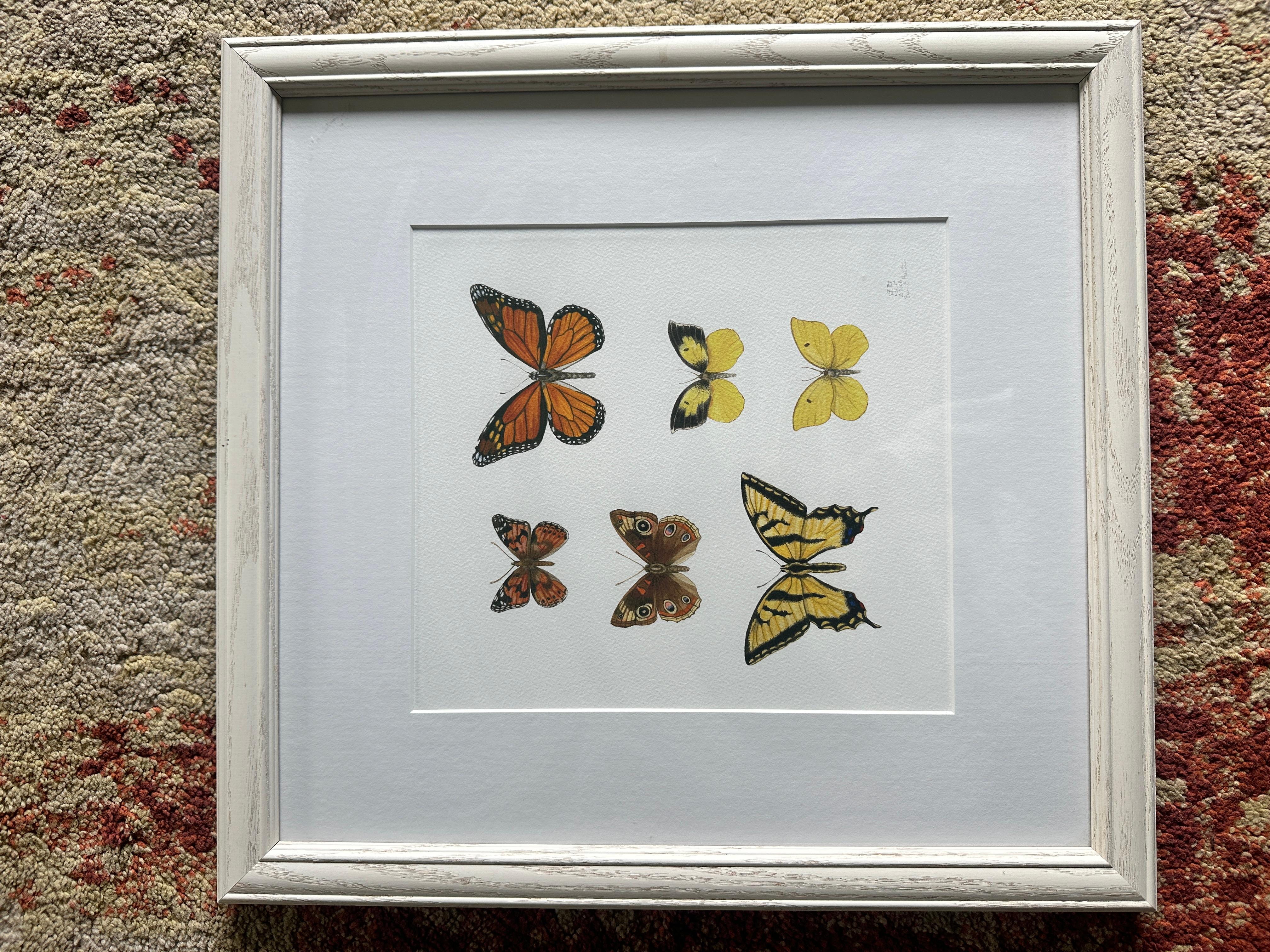 California Butterflies: Painted Lady, Buckeye, Western Tiger Swallowtail, Monach