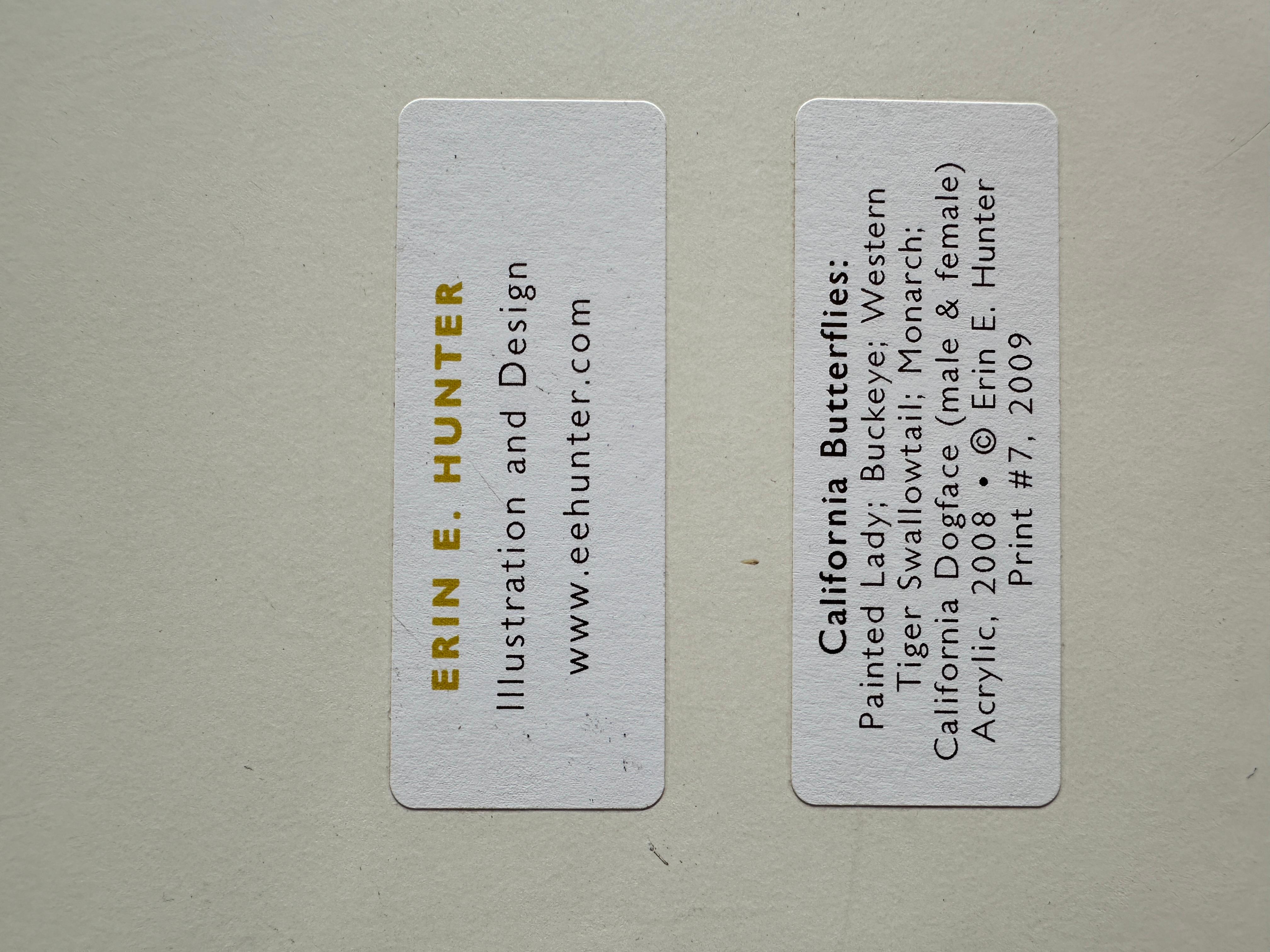 Schmetterlinge in Kalifornien: Painted Lady, Buckeye, Western Tiger Swallowtail, Monach im Angebot 1