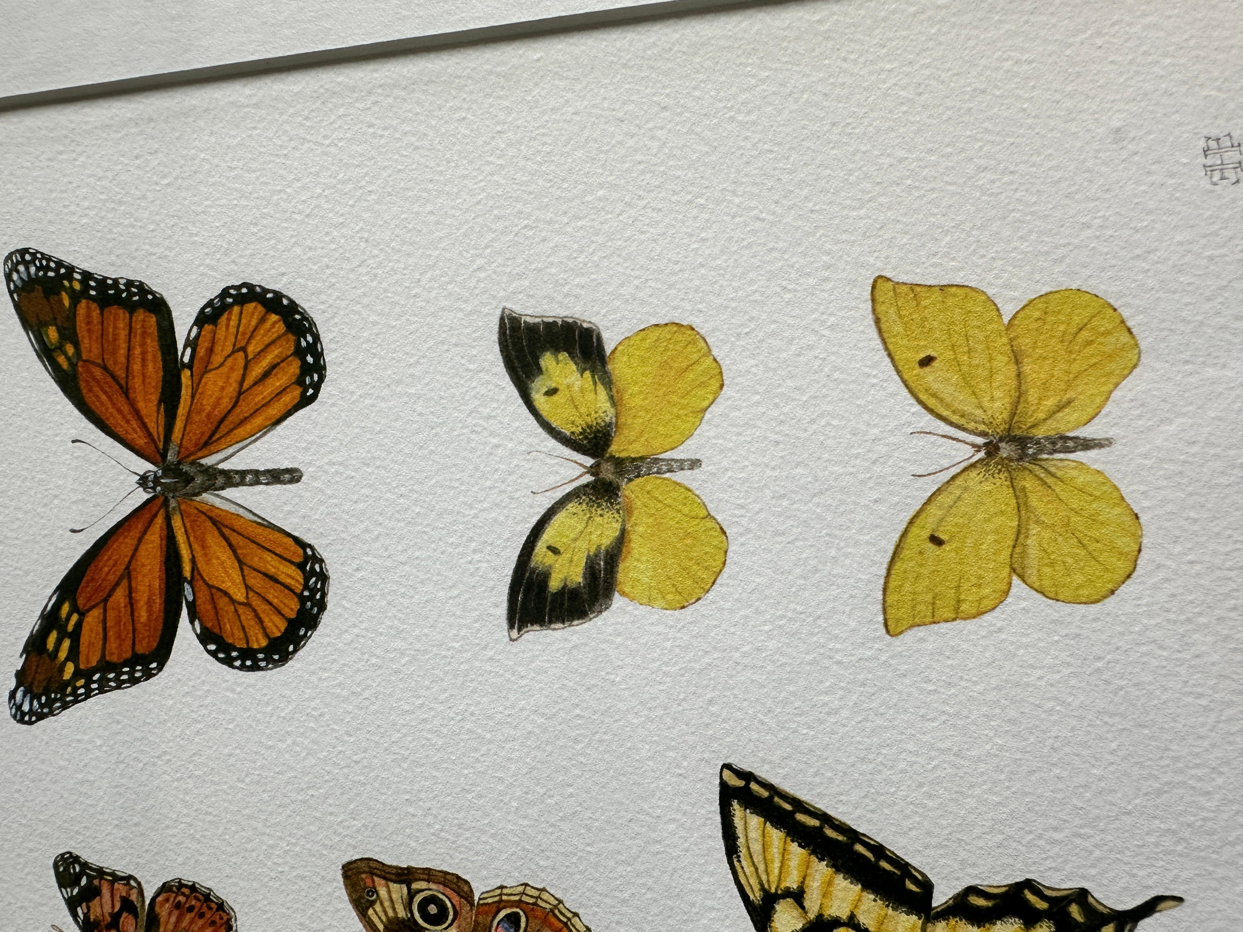 Schmetterlinge in Kalifornien: Painted Lady, Buckeye, Western Tiger Swallowtail, Monach – Art von Erin Hunter