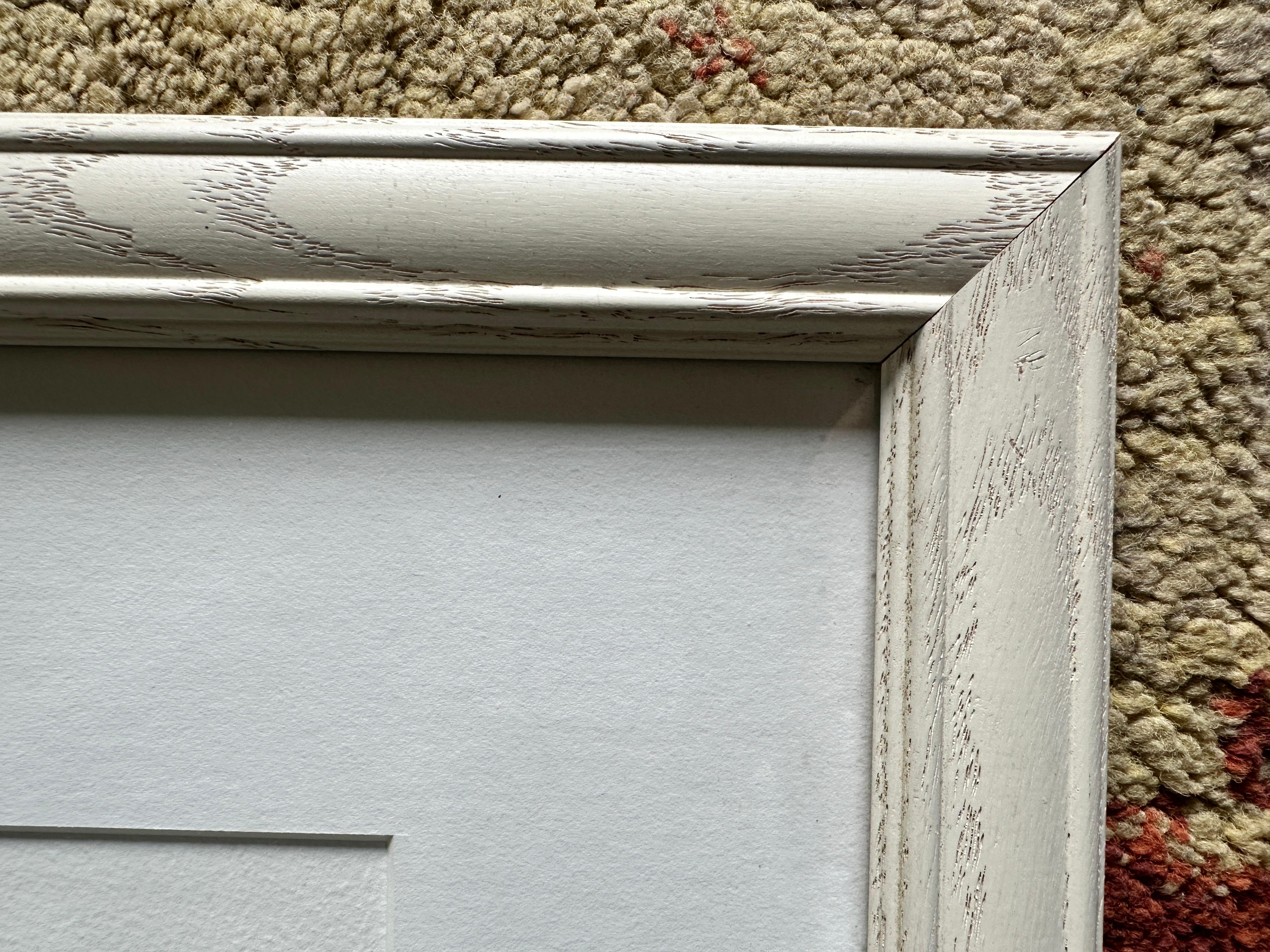 Schmetterlinge in Kalifornien: Painted Lady, Buckeye, Western Tiger Swallowtail, Monach im Angebot 2