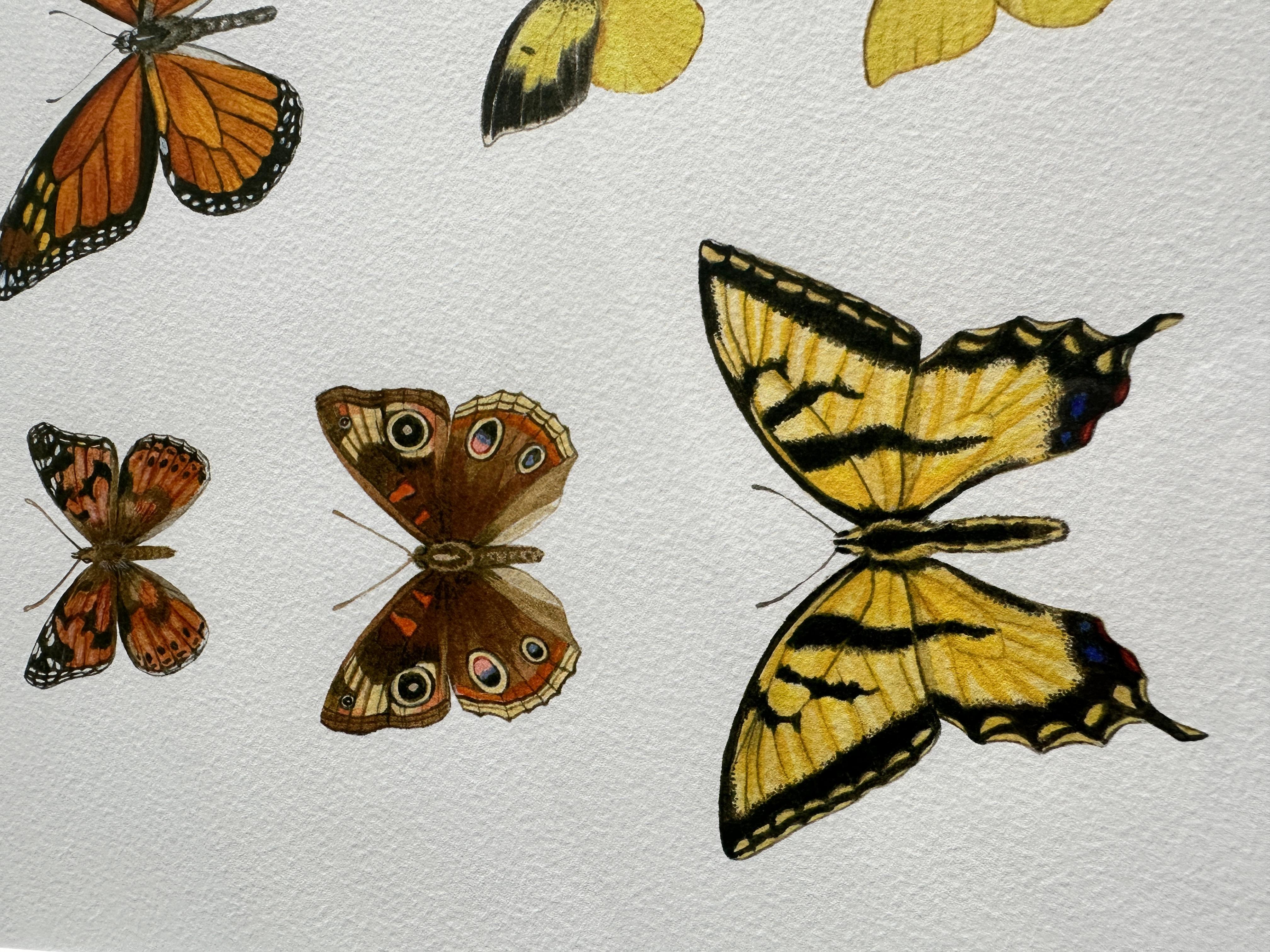 Schmetterlinge in Kalifornien: Painted Lady, Buckeye, Western Tiger Swallowtail, Monach (Grau), Animal Art, von Erin Hunter