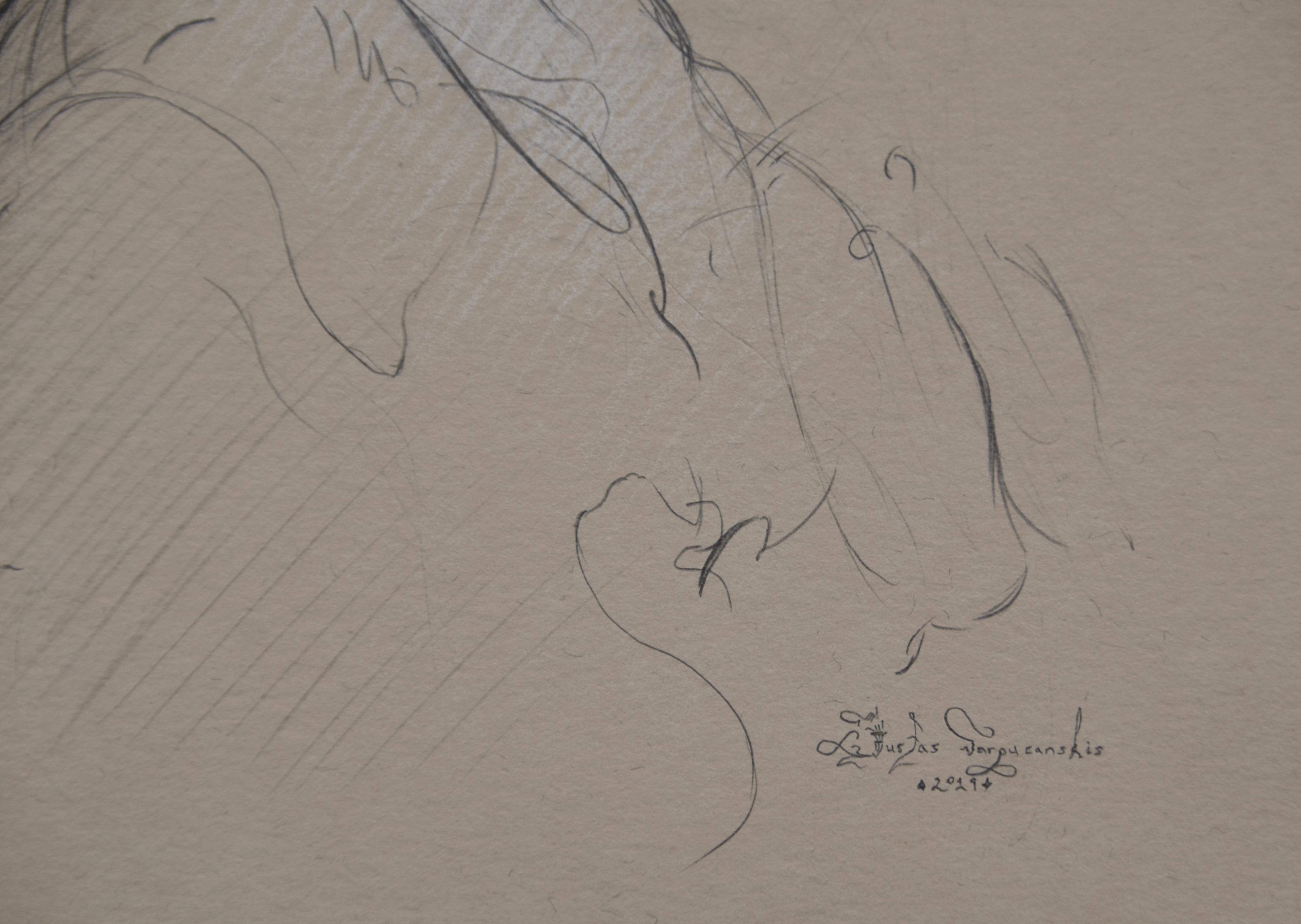 Ritratto di Noemi, 7x10 pouces. Graphite et craie blanche sur papier tonique. Dessin de l'artiste Justas Varpucanskis. Cette pièce utilise les 