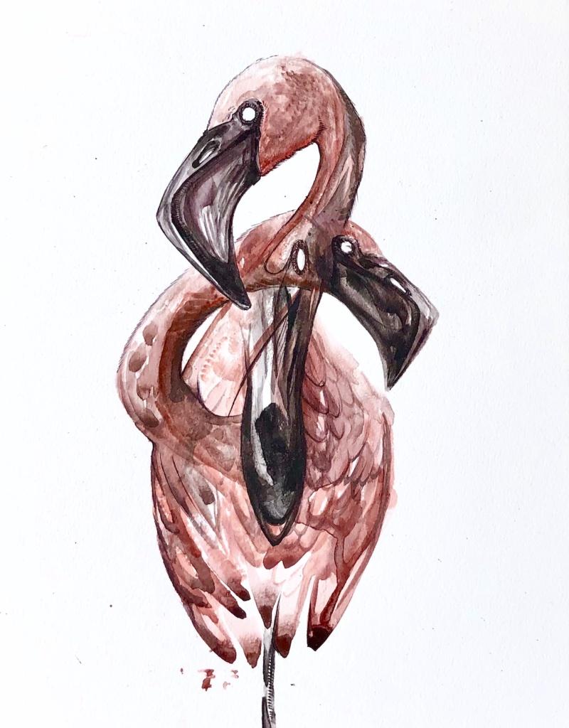 Animal Art Johnathan Ball - Étude sur les flamants roses