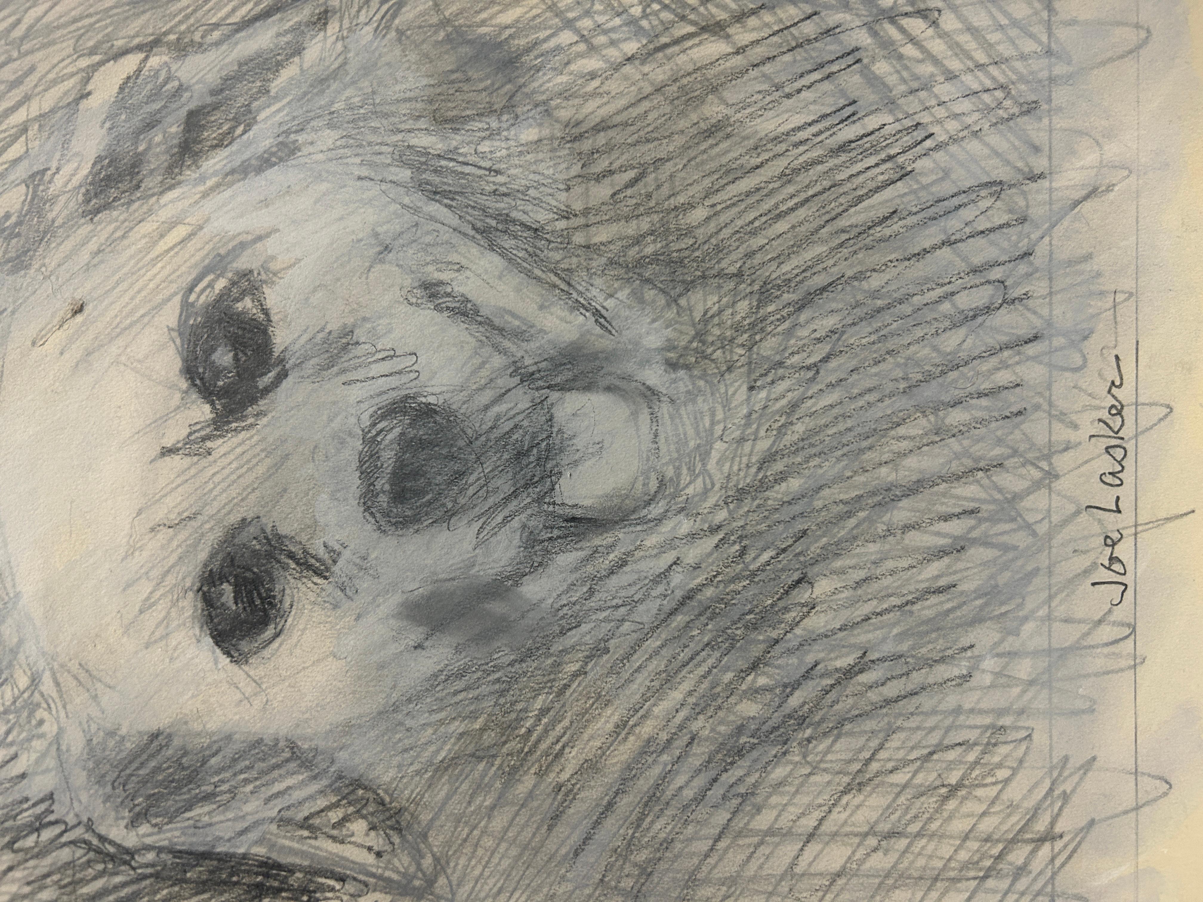 Chien - Marron Animal Art par Joe Lasker