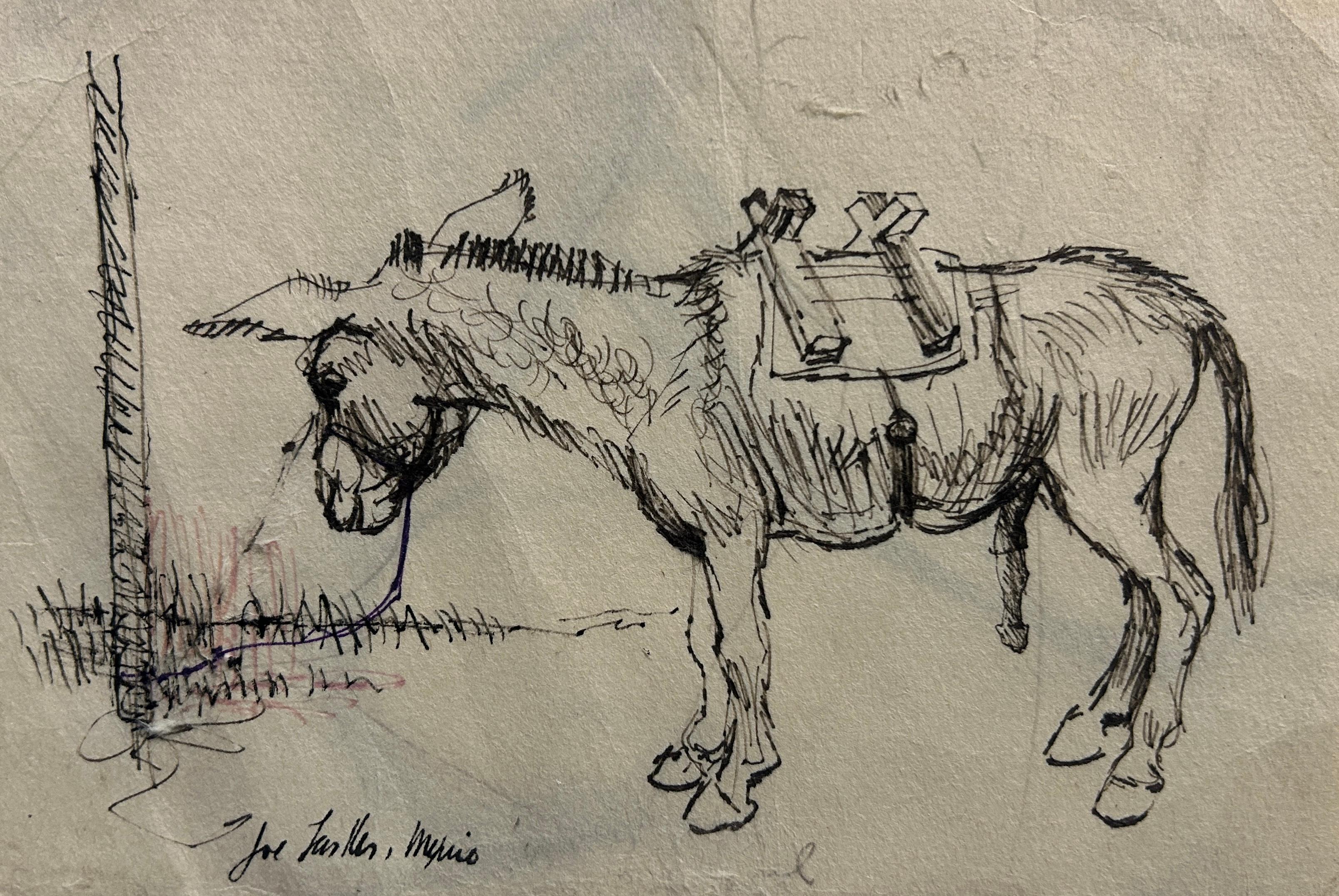 Esel – Art von Joe Lasker