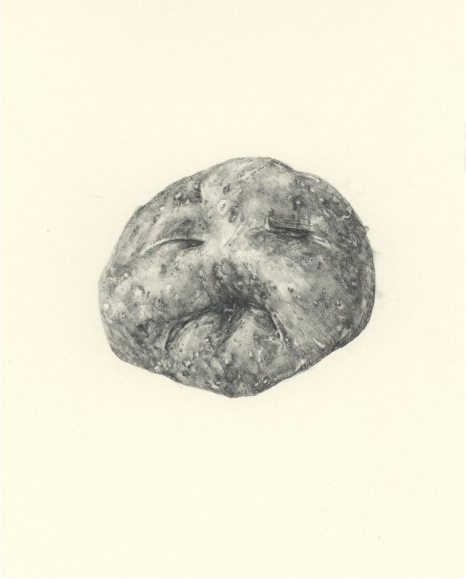 Amanda Nedham Still-Life - Potatoes, or, Everything is Everything II