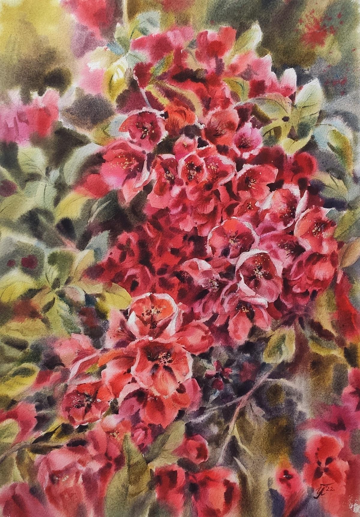 Irina Pronina Abstract Drawing - Passion quince Watercolor painting Floral art