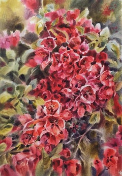 Passion quince Watercolor painting Floral art