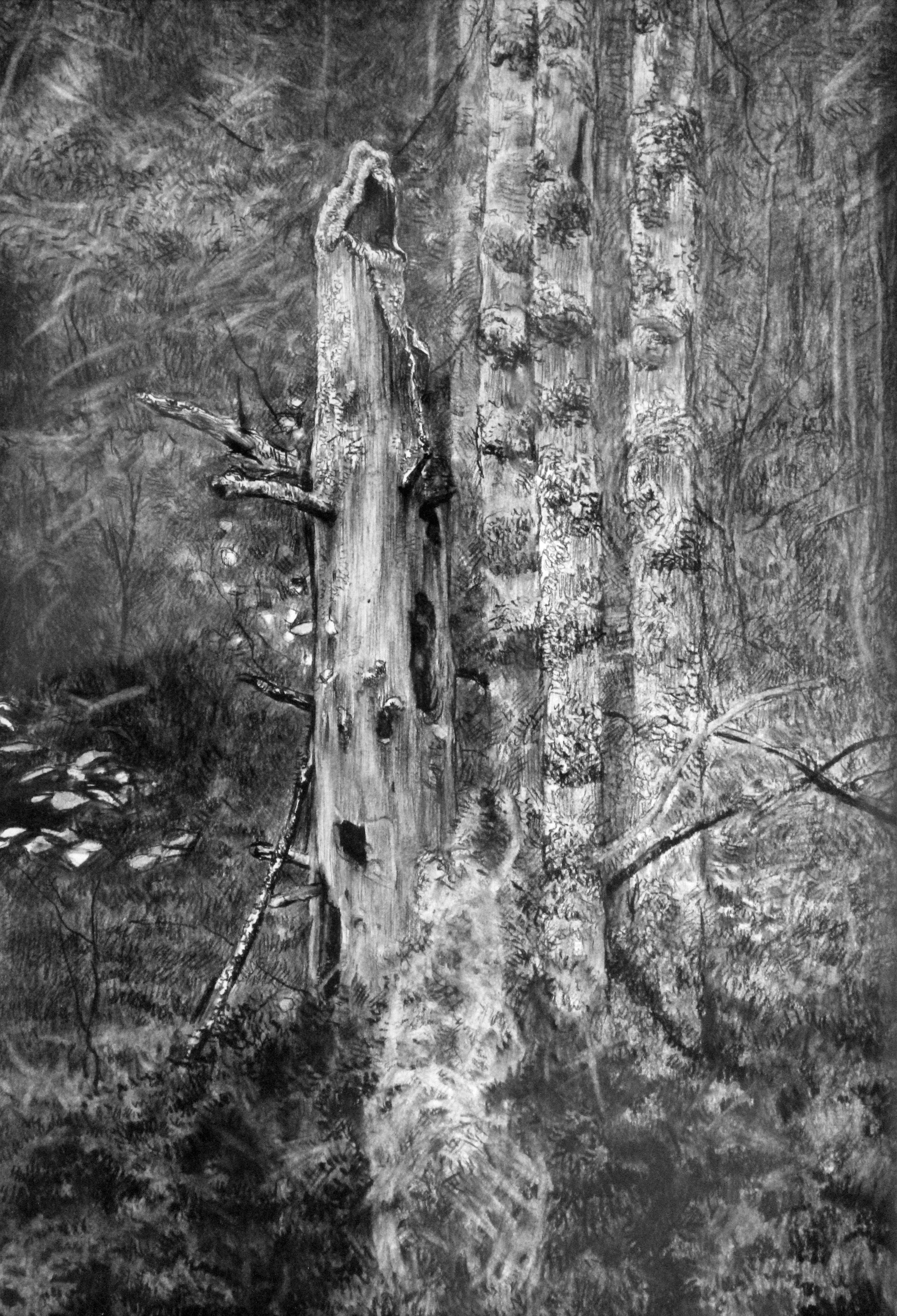 Simon Kozhin Landscape Art - Dead tree