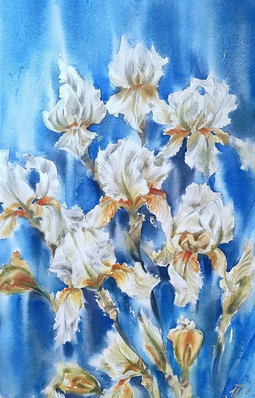 Irina Pronina  Interior Art - White irises on blue Watercolor flowers 