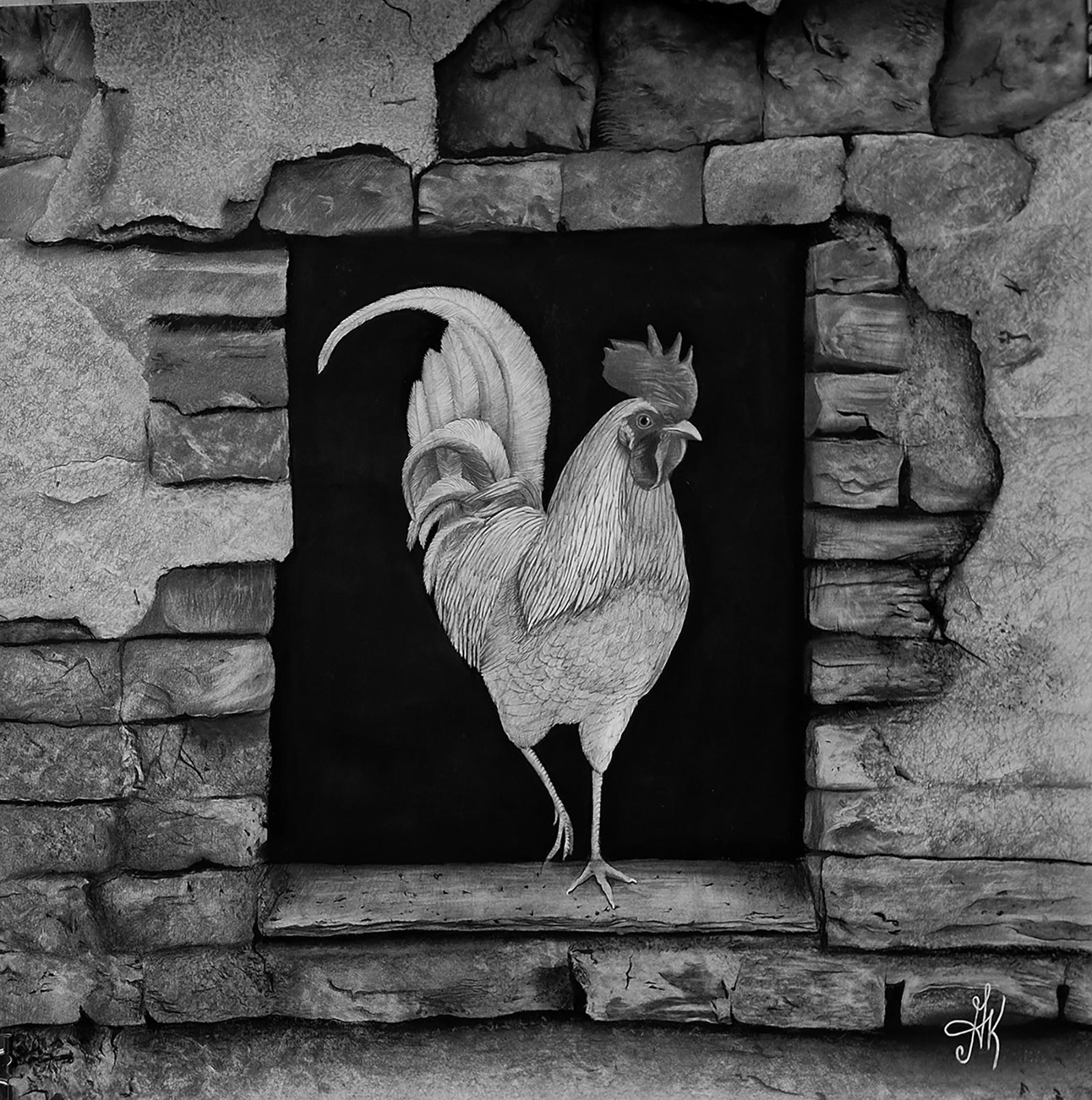 Pájaro Dibujos y acuarelas de animales