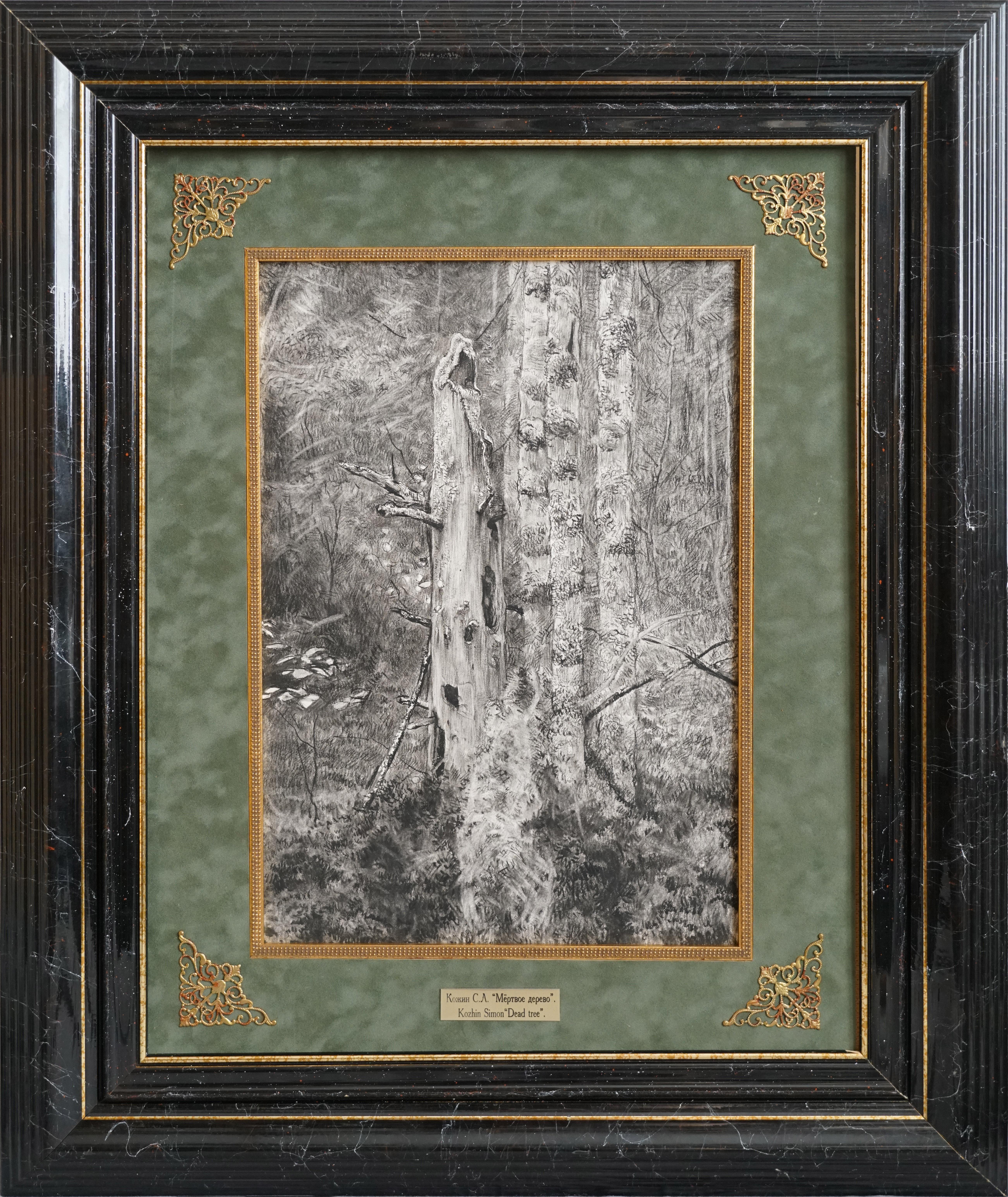 An old tree already dead overgrown with moss in the forest thicket. The tree trunk has already been eaten by a bug, and its picturesque texture with a variety of tonal nuances attracted me as a researcher. I watch the cycle of life. When the old