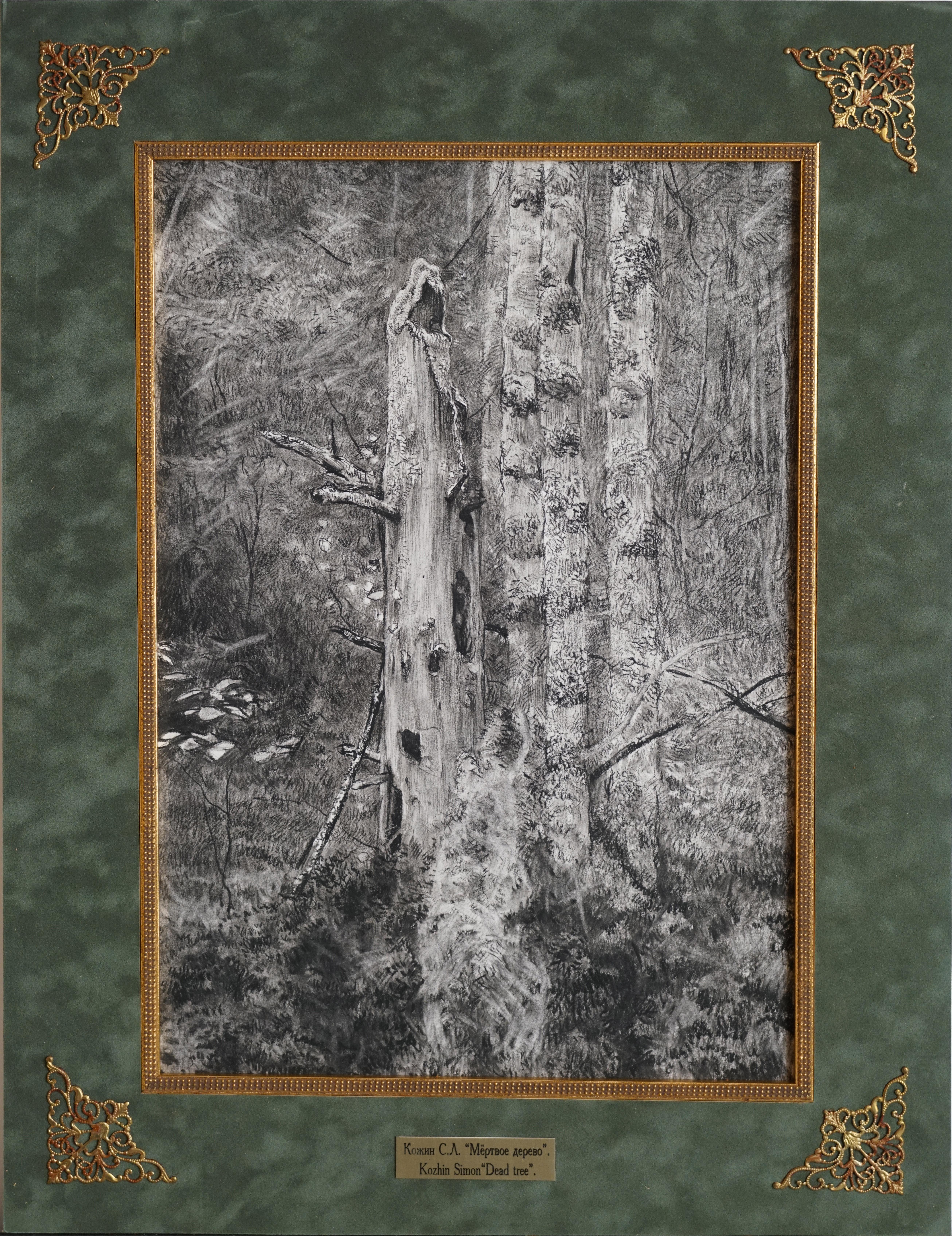Dead tree For Sale 2