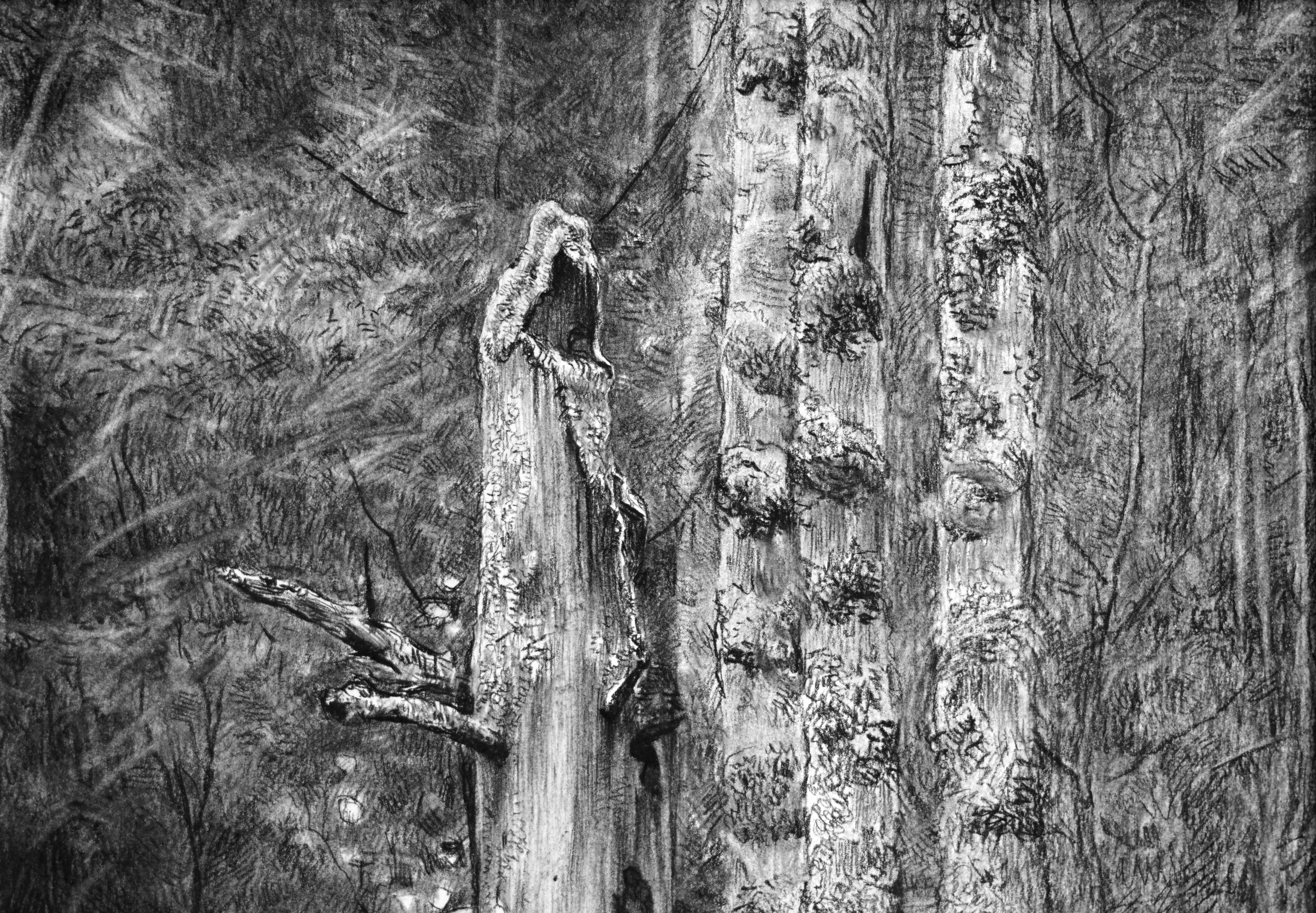 Dead tree - Art by Simon Kozhin