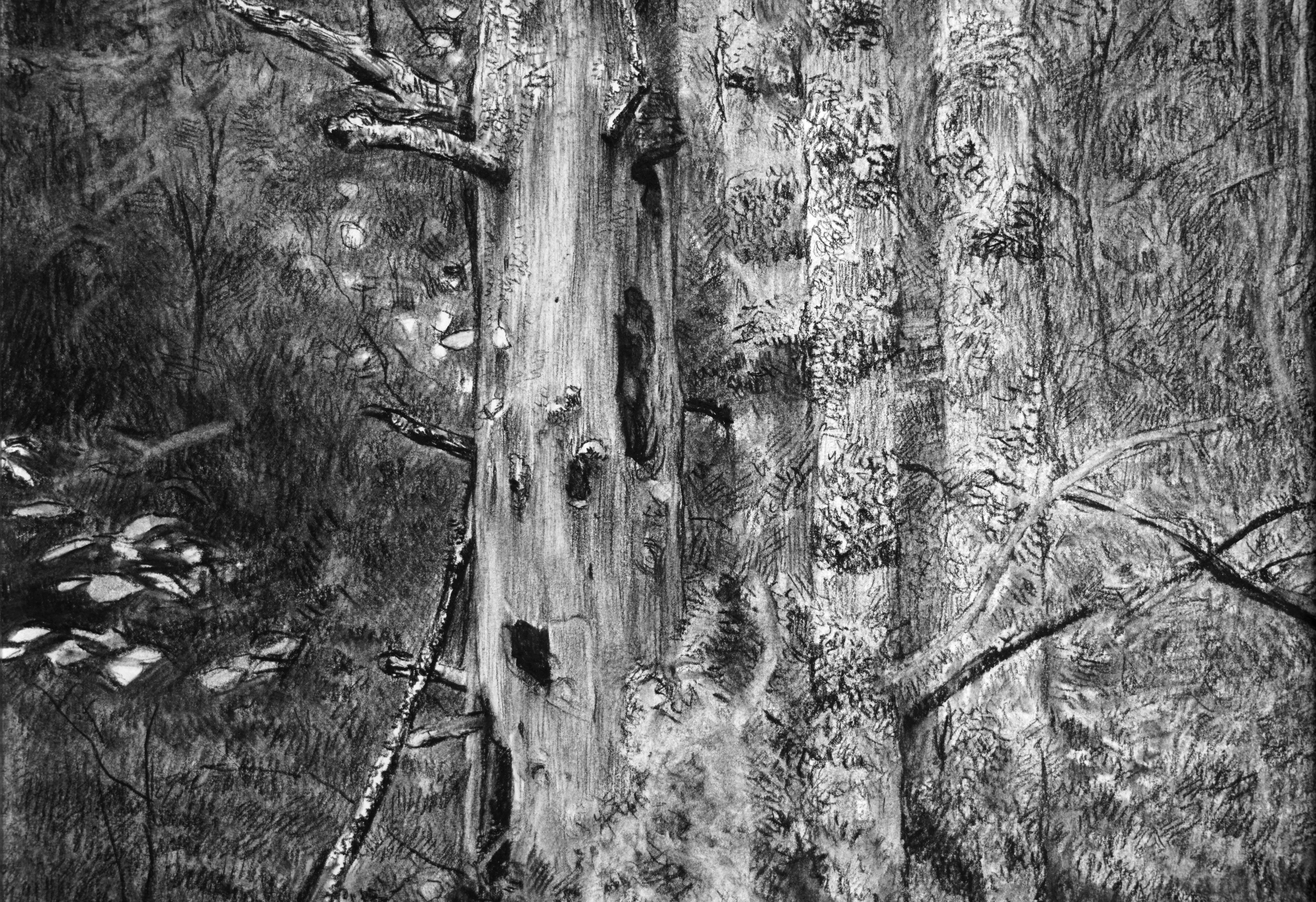 Dead tree - Gray Landscape Art by Simon Kozhin