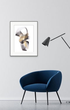 Abstract Calligraphic Brush Drawing. Combing Sound