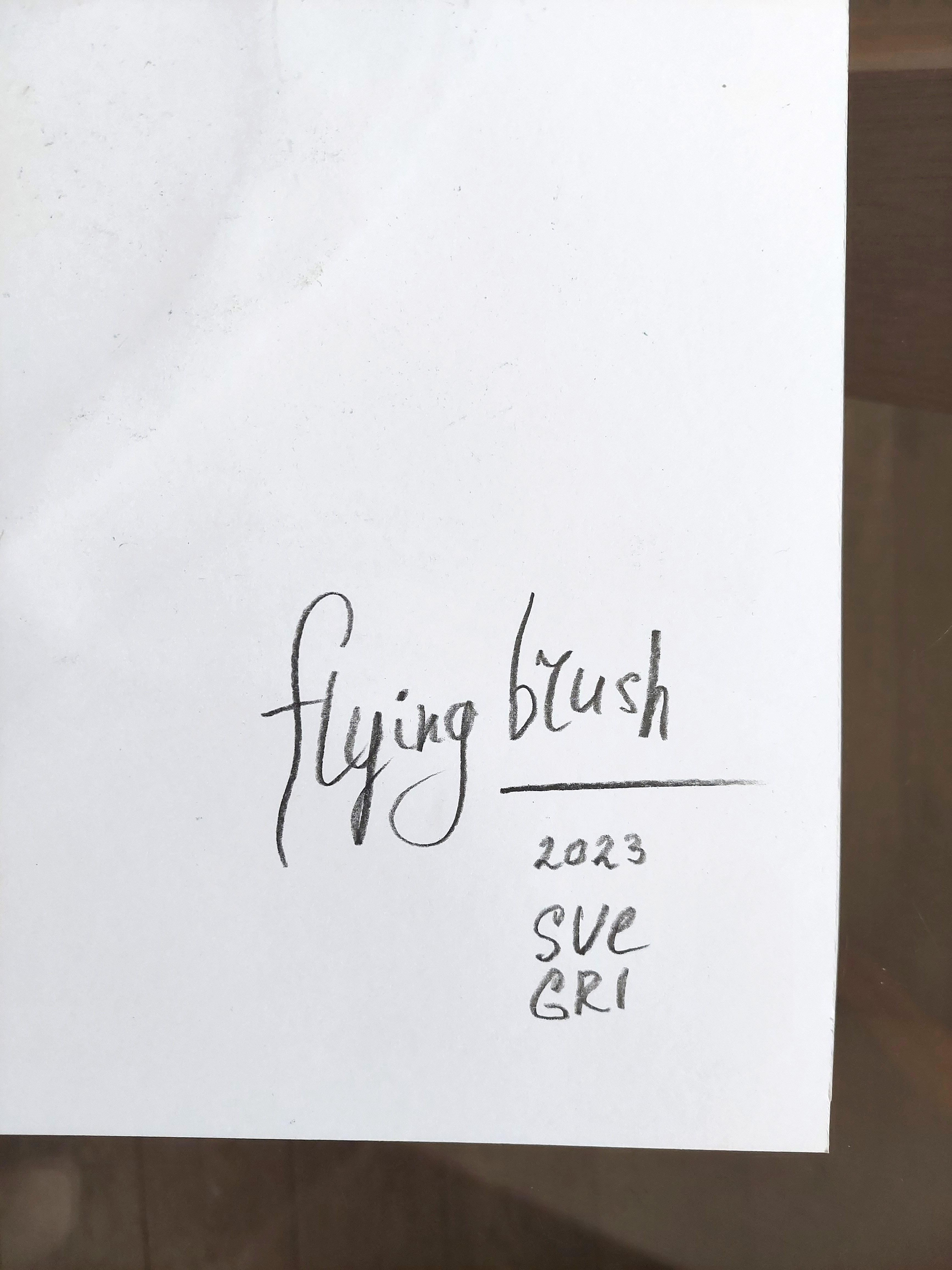 disegno gri