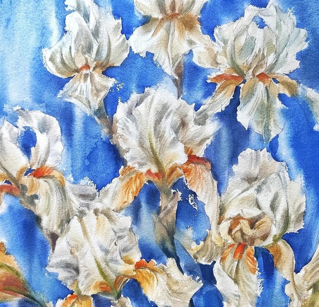 White irises on blue Watercolor flowers  - Art by Irina Pronina 