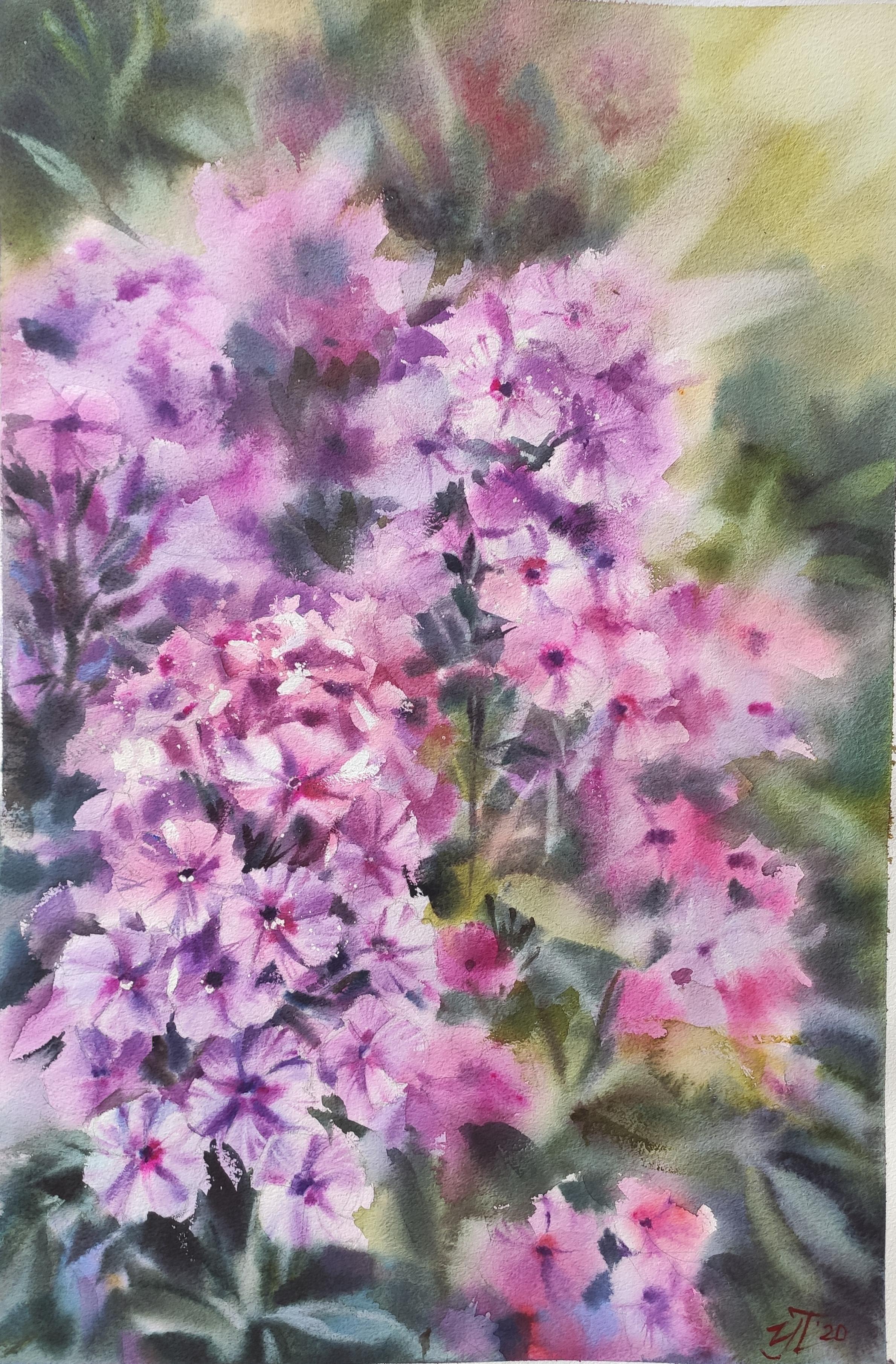 Agosto Pittura ad acquerello Fiori estivi 1